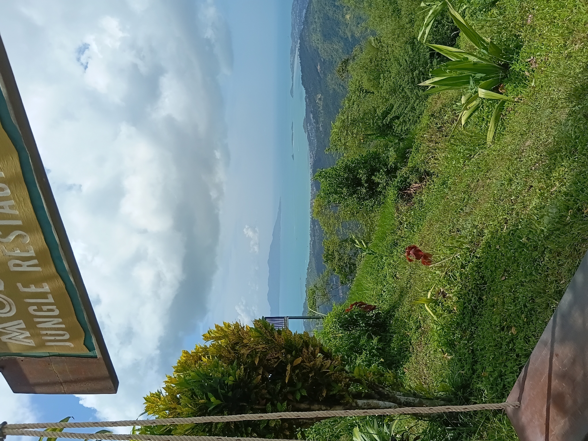 The image depicts a scenic overlook on the island of Ko Samui, Thailand, likely at a restaurant named "MO Jungle Restaurant". In the foreground, the wooden seat of a swing hangs from thick ropes, partially obscuring a lush green slope dotted with various plants and grasses. A tree with variegated leaves stands to the left, and a large, spiky green plant is visible in the lower right quadrant.
Beyond the immediate vegetation, the landscape unfolds dramatically. The terrain is covered in dense, green forest, cascading down towards the coast. In the distance, the turquoise waters of the Gulf of Thailand stretch out, dotted with small islands. A hazy, distant landmass, likely another part of Ko Samui or a neighboring island, is visible on the horizon under a sky filled with white, fluffy clouds against a pale blue background. A small section of a blue and white railing is visible on a platform to the left, suggesting a viewing deck or the edge of the restaurant. The overall impression is one of natural beauty and panoramic vistas.