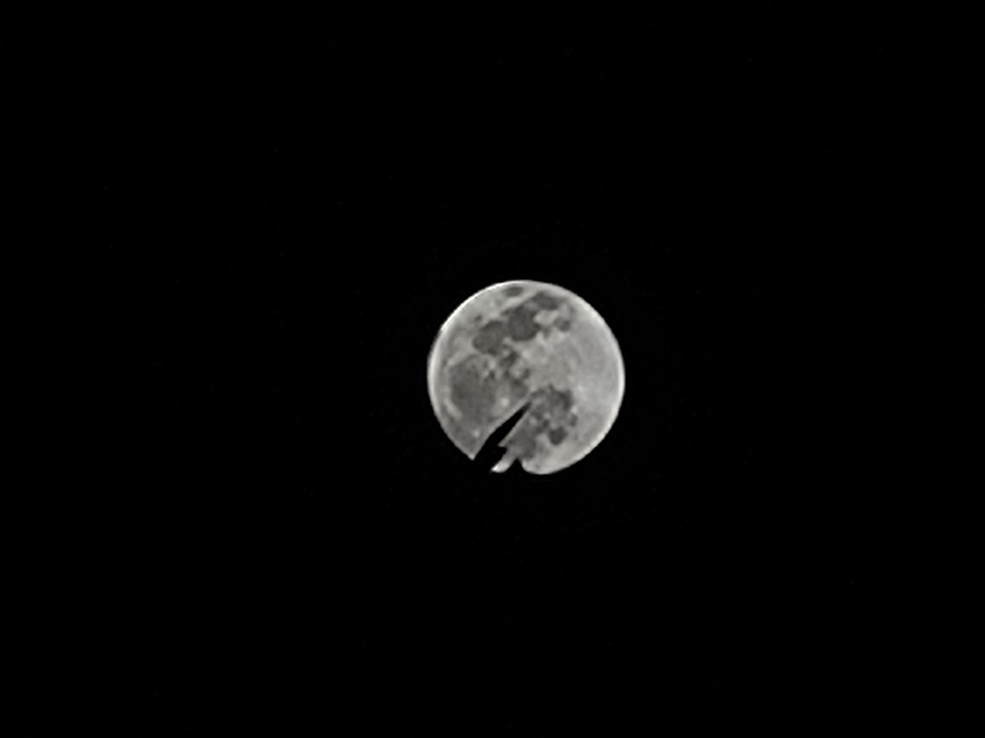 A full moon is visible against a black sky. A dark, elongated object, possibly an airplane, is silhouetted against the moon, appearing to partially obscure it. The moon's surface shows craters and darker patches. The image does not contain any information about the city of Jelgava, Latvia.