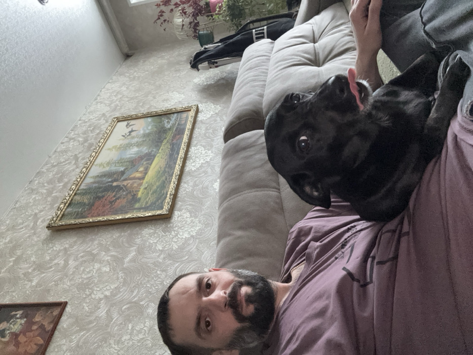 An indoor scene, likely a living room in the city of Reftinsky, Russia, shows a male individual and a black dog seated on a light-colored upholstered sofa. The man, positioned on the left, has dark hair and a beard, wears a purple t-shirt, and looks directly at the camera. To his right, a black dog sits with its head turned right, eyes wide open, and its tongue slightly extended from its mouth. The wall behind them is covered in light-toned patterned wallpaper. A large, ornate gold-framed landscape painting depicting a cabin, trees, water, and birds in flight hangs prominently on the wall. A smaller, darker framed image is partially visible in the upper left. In the upper right background, a dark object resembling a bag, a white decorative birdcage, and several potted plants are visible.
