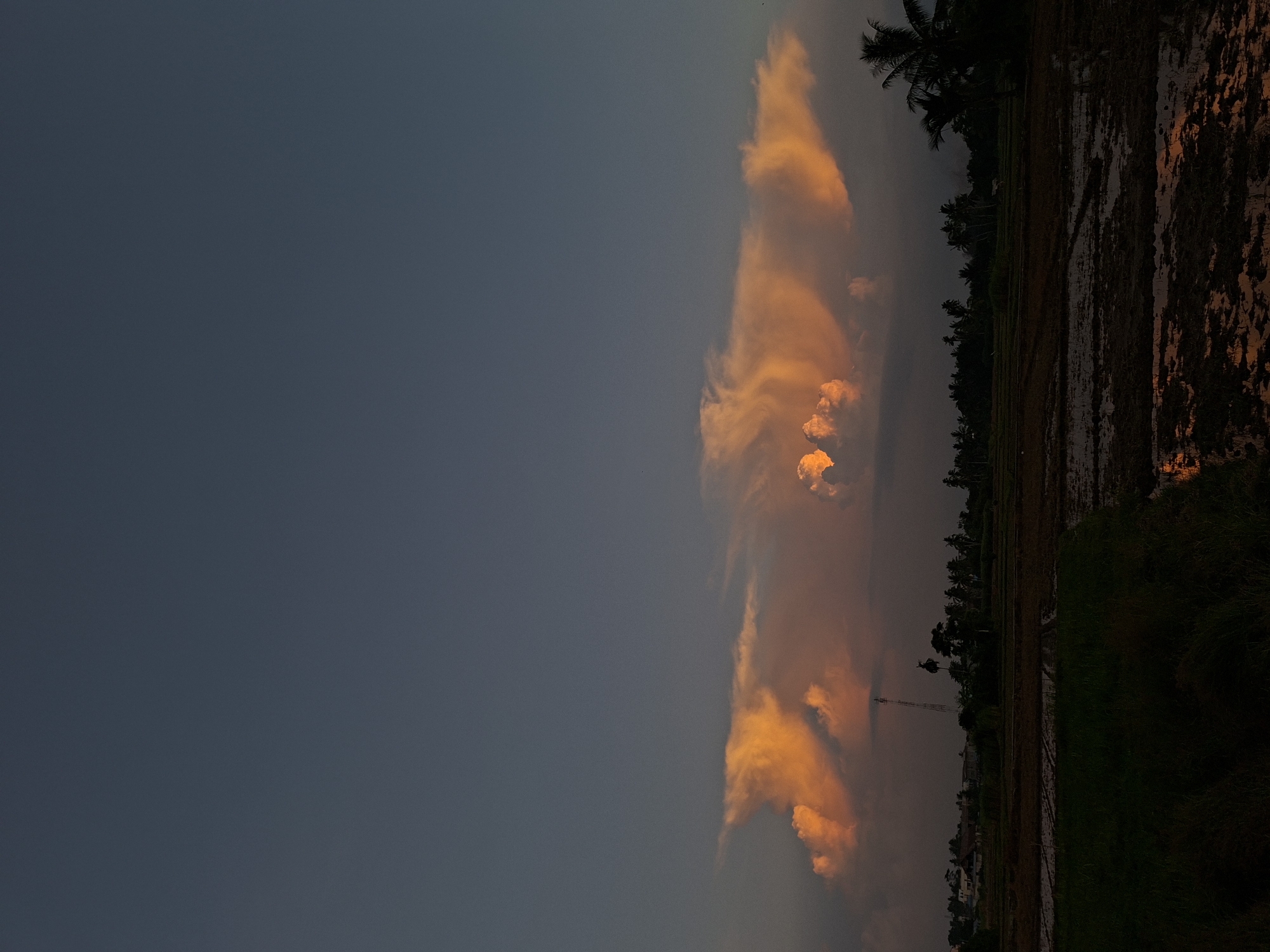 This photograph depicts a rural landscape at dusk in Kutaglumpang, Indonesia. The sky is a deep, dusky blue, with a striking formation of clouds illuminated by the setting sun in shades of orange and yellow. The clouds are dense and voluminous, with distinct textures and patterns, suggesting a dramatic sky.
Below the sky, the horizon is lined with a dense cluster of trees, including palm trees, which are silhouetted against the lighter sky. A tall, slender tower, possibly a communication tower, stands out among the trees on the left side of the frame. The foreground consists of cultivated fields, with areas of dark soil and patches of water reflecting the ambient light. Some areas appear to be covered in dark green grass or vegetation. The overall impression is one of a serene, natural environment at the transition between day and night. There are no visible people or animals in the image.