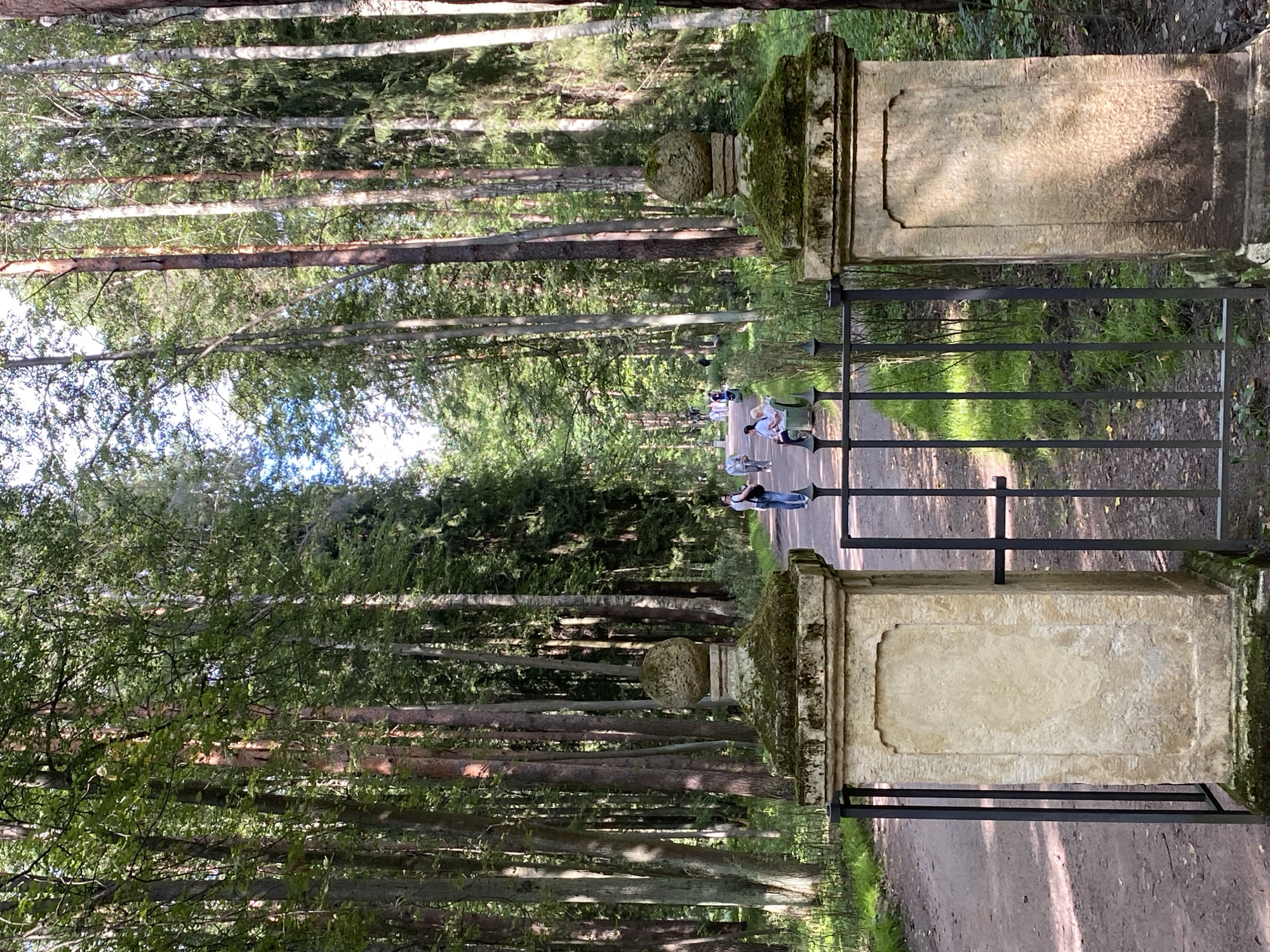 The image depicts an outdoor scene featuring a pathway through a dense forest, likely in Pavlovsk, Russia, given the architectural style and natural setting often found in its parks. In the foreground, two ornate stone pillars, partially covered in moss, flank a black metal gate. The pathway, made of gravel or dirt, curves into the distance, lined by tall, mature trees with dense green foliage. Several individuals are visible walking or sitting along the path. On the left, a person in a light-colored jacket walks away from the viewer. Further down the path, a couple sits on a bench. More people are seen walking further into the park, their figures becoming smaller and less distinct. The overall atmosphere is serene and natural, suggesting a public park or garden.