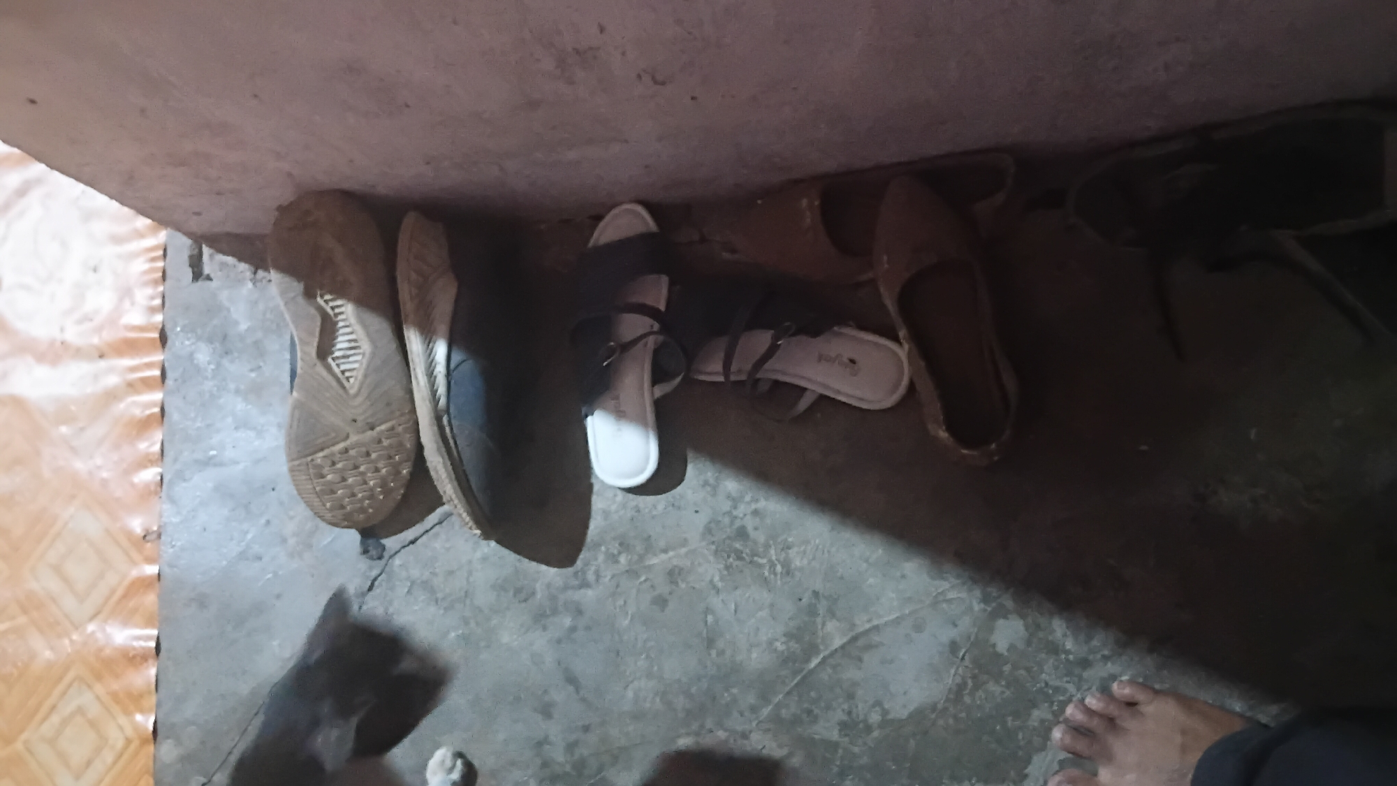 A pair of muddy athletic shoes lies on a concrete floor, positioned next to a light-colored wall. The shoes are oriented with the soles facing upwards. To the left of the shoes, a blurry dark animal, possibly a cat, is visible on the floor. Further down the wall, several pairs of footwear are stacked: a pair of white and black sandals, a pair of brown flat shoes, and a pair of black flip-flops. The flooring consists of concrete and a section of patterned material near the top of the frame. The lighting is dim, casting shadows across the scene. The scene is indoors, likely a residential area. The image is undated. No specific location within Prabumulih, Indonesia, can be determined from the visual information provided.