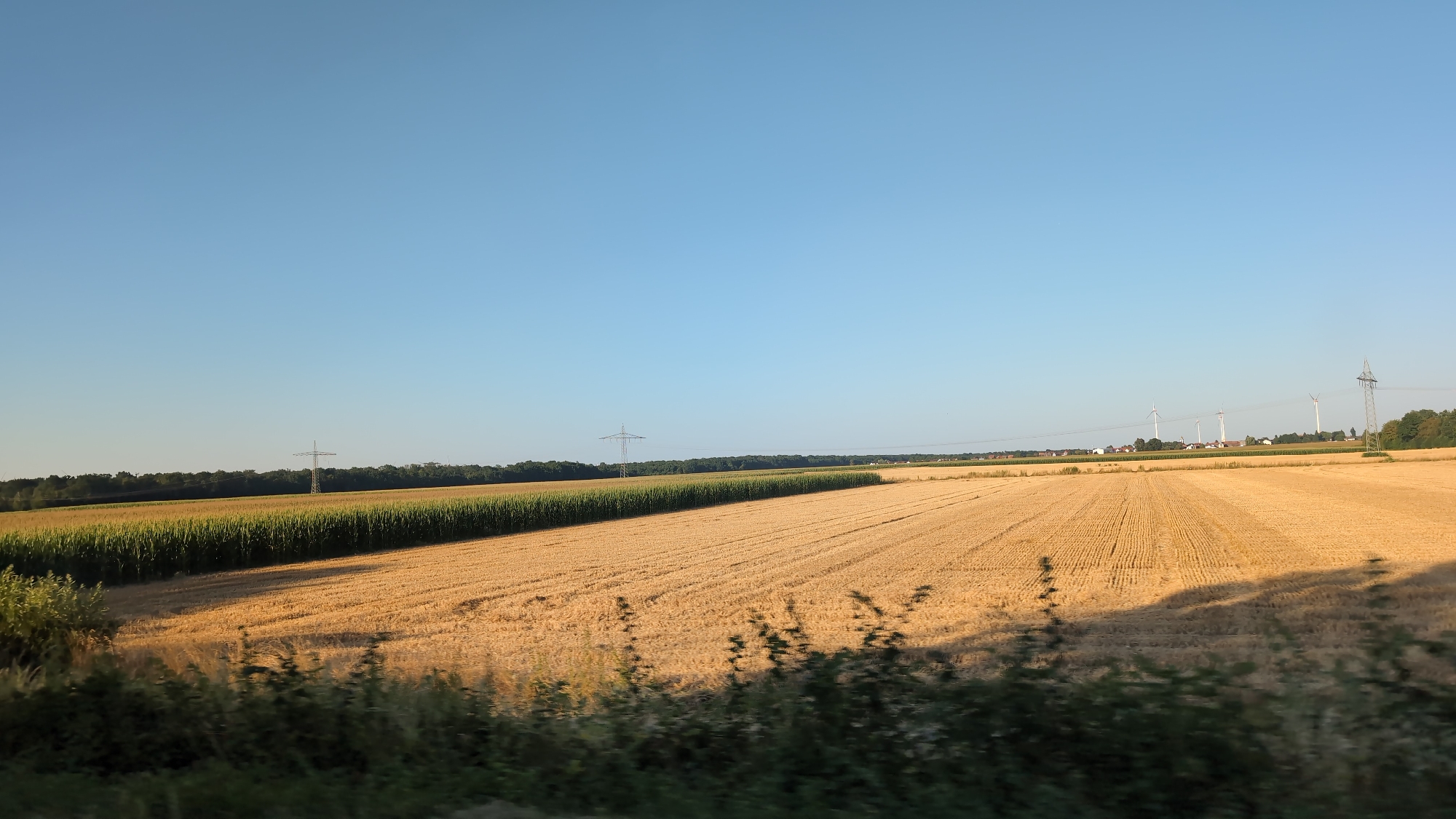 The image depicts a rural landscape under a clear blue sky. In the foreground, a harvested field of golden wheat stretches across the scene, with rows clearly visible from the harvesting process. Adjacent to the wheat field, on the left side of the image, is a lush green field of tall corn. The horizon is marked by a line of trees, and in the distance, several white wind turbines are visible, along with some residential buildings and power lines. There are also two large electricity pylons visible, one closer and one further away. The lighting suggests it is either early morning or late afternoon, with long shadows cast across the wheat field. The scene is devoid of any people or animals.