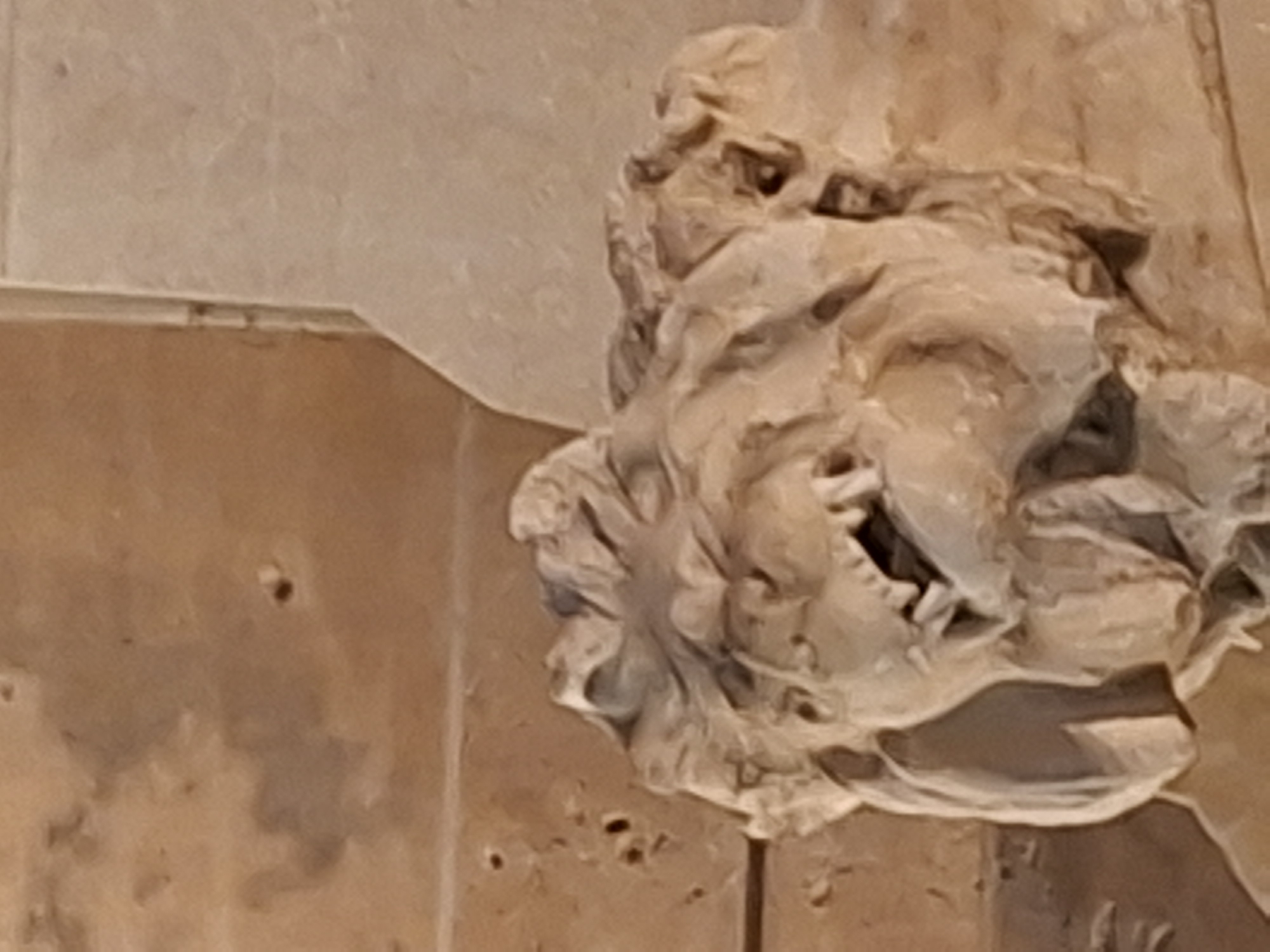 The image shows a close-up of a stone carving of a grotesque lion's head. The lion has a snarling expression with bared teeth and a mane that appears to be made of sculpted flames. The carving is weathered and worn, suggesting it is an old architectural element. The background consists of rough-hewn stone walls in earthy tones. This carving is part of the facade of the Real Fábrica de Tabacos de Alicante, a former tobacco factory located in the city of Alicante, Spain.