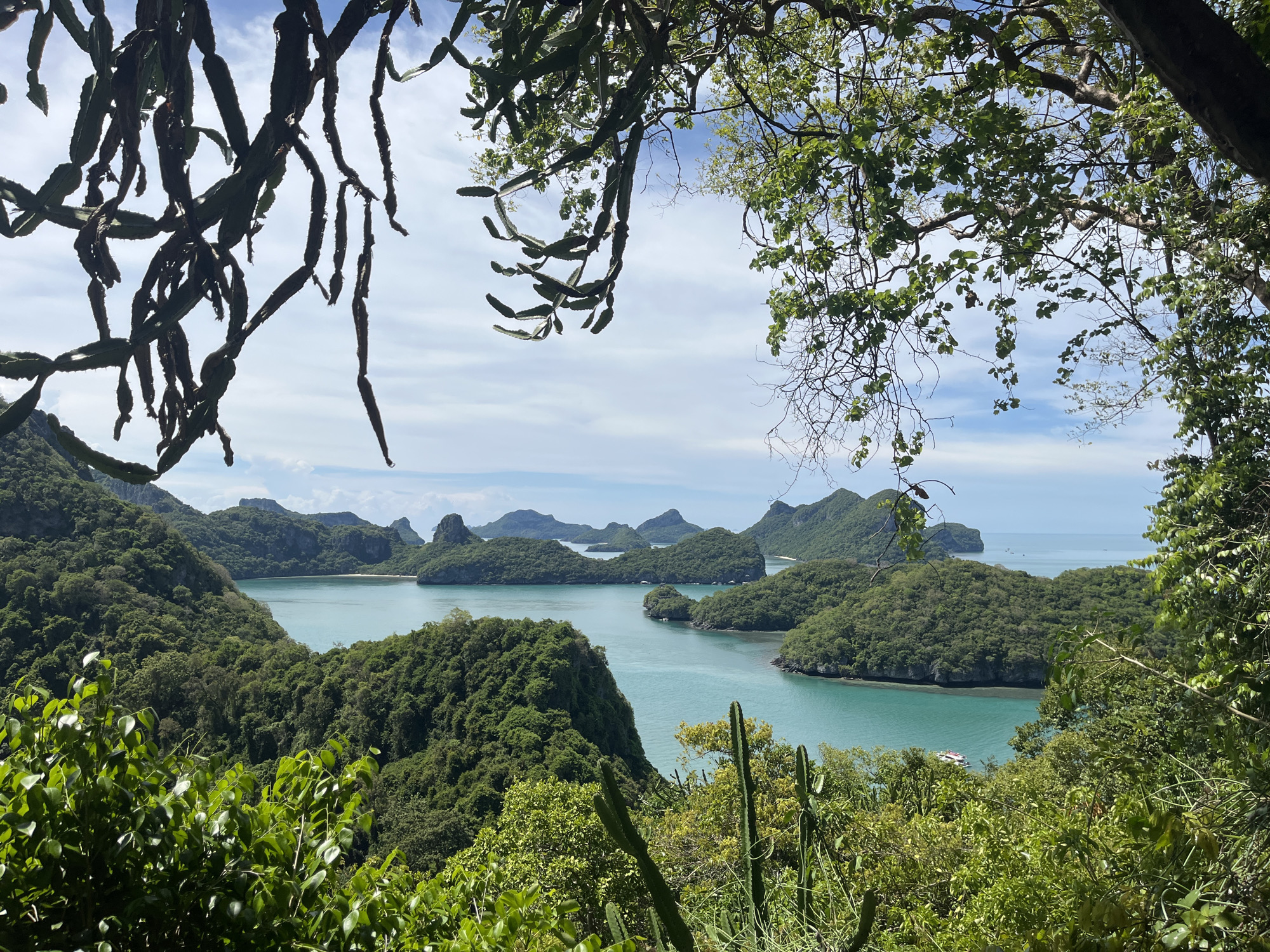 This is a wide-angle, high-angle shot of a tropical island landscape in Thailand. In the foreground, lush green foliage, including some cacti, frames the view. The midground is dominated by a vibrant turquoise bay surrounded by verdant, tree-covered islands with jagged, rocky peaks. The water is calm and reflects the bright blue sky with scattered white clouds. In the distance, more islands are visible, and the ocean stretches to the horizon. The overall impression is one of serene natural beauty.