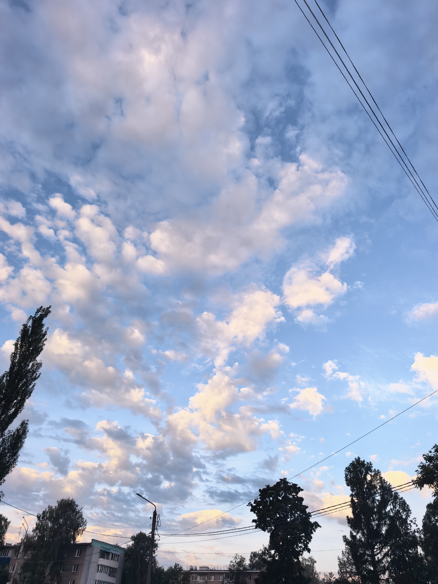 The image captures a cloudy sky over the city of Sterlitamak, Russia, likely during a sunset or sunrise due to the soft lighting and warm tones in the clouds. The sky is a blend of pale blue and white, with scattered cumulus clouds tinged with yellow and pink hues. Three parallel power lines stretch diagonally across the upper right portion of the frame. In the lower part of the image, the silhouettes of trees and buildings are visible against the sky. On the left, a tall, slender tree stands out. Further to the right, a cluster of broader trees partially obscures some multi-story buildings. A street lamp with visible wiring is positioned towards the center-left. The overall scene depicts an urban landscape under a dramatic sky.