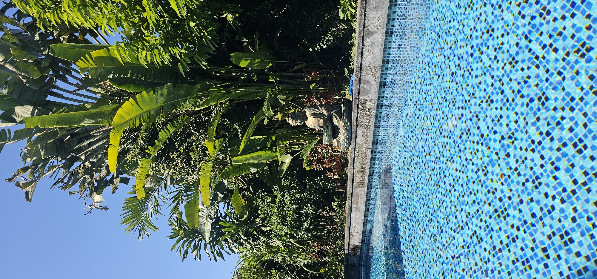 The image depicts a poolside scene in Denpasar, Indonesia. Lush tropical foliage including palm and banana trees fills the left side of the frame under a clear blue sky. Adjacent to the foliage is a textured statue of Buddha. To the right of the statue is a pool, the surface of which is composed of blue and black tile. The water is slightly rippled.
