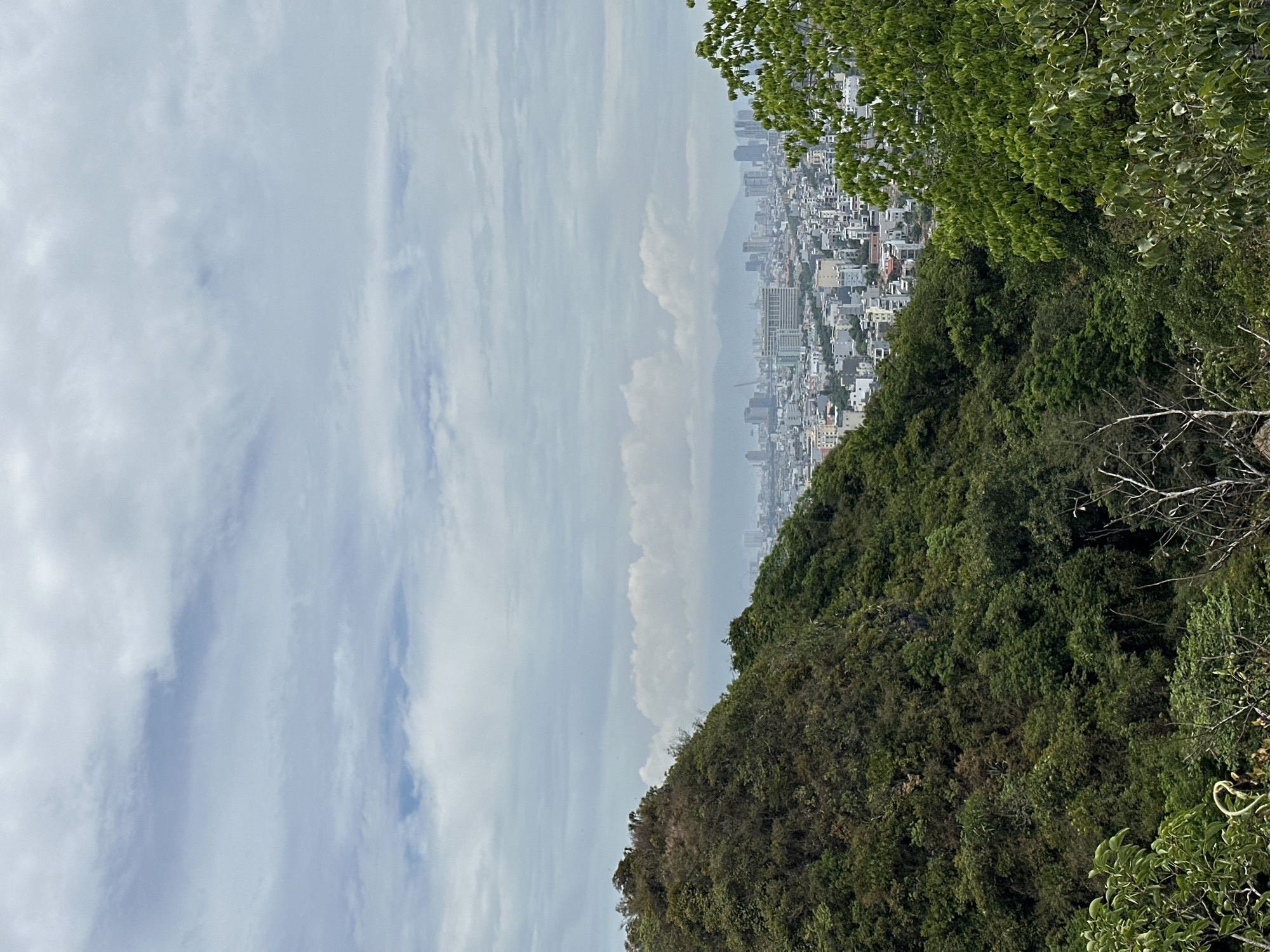 The image presents a view from a forested hillside overlooking the city of Đà Nẵng, Vietnam. In the foreground, a lush green, tree-covered mountain slopes downward from the left. The middle ground reveals a dense urban landscape characterized by numerous buildings of varying heights, predominantly in white and light gray, interspersed with pockets of greenery. A hazy skyline of taller buildings and distant mountains can be observed in the background, under an overcast sky with scattered clouds. The scene is devoid of any visible people or discernible actions.