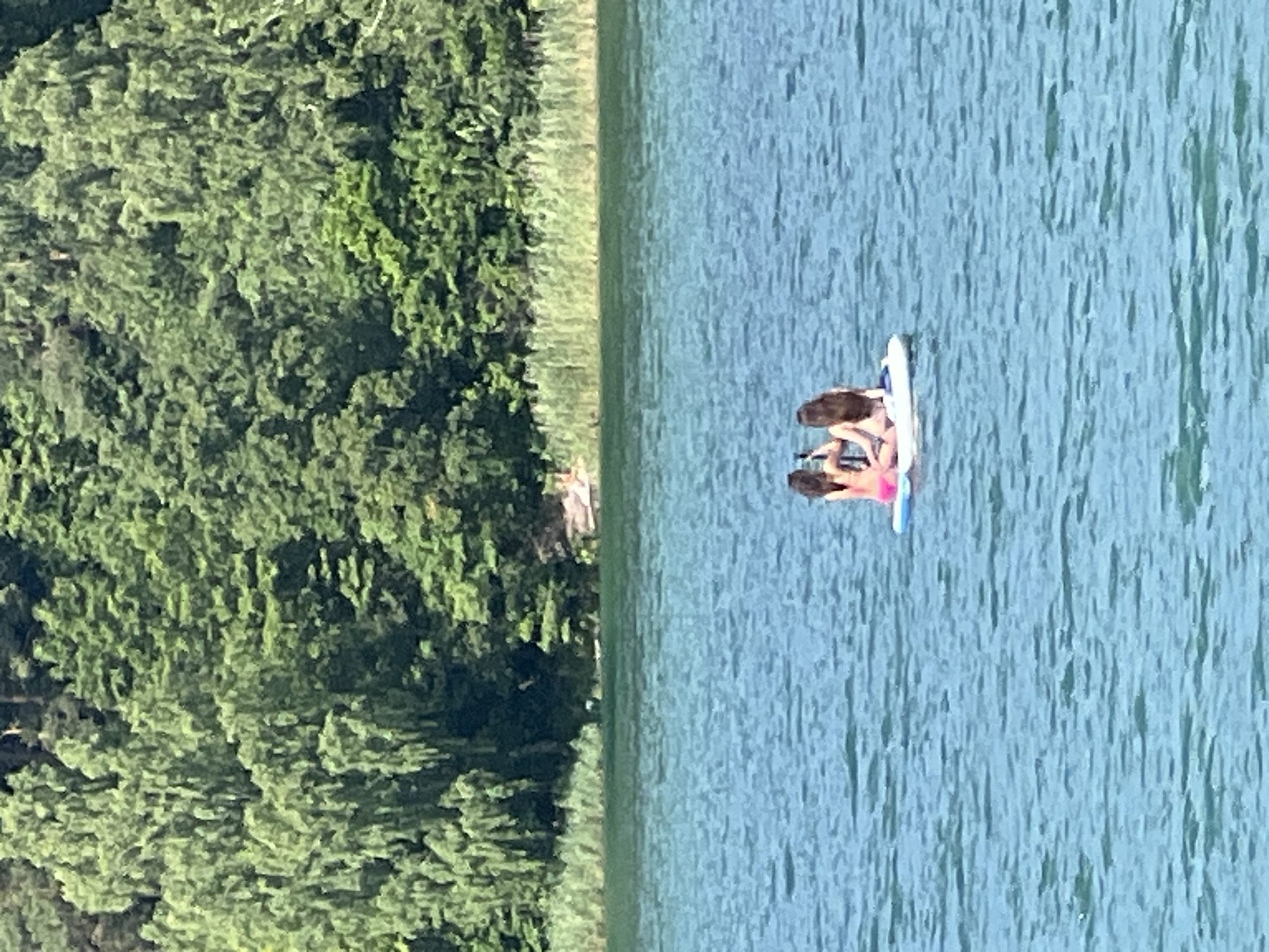 In this media file, two individuals are seen on a paddleboard in a body of water, likely a lake or river, near a lush green treeline. The image is oriented vertically, with the dense foliage of trees dominating the left side and the expanse of blue water filling the right. The two people, appearing to be young adults, are seated on the paddleboard. One person is facing away from the camera, with long dark hair. The other person is turned more towards the viewer, and is wearing a pink swimsuit. The water is rippled, suggesting a gentle breeze. The overall scene evokes a sense of leisure and outdoor activity on a sunny day, likely during warmer months. The location is identified as Vilnius, Lithuania. No visible text is present in the image.