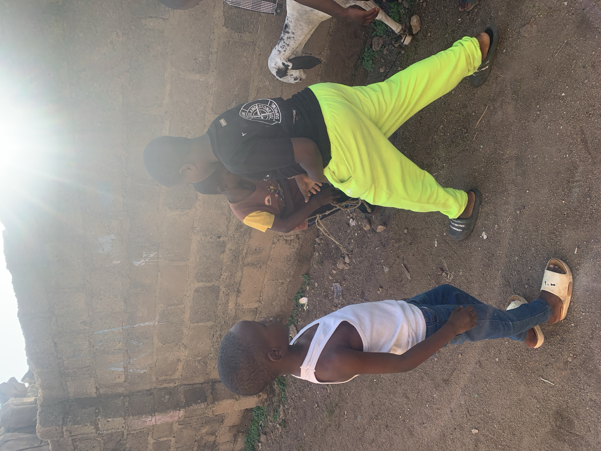 In Jos, Nigeria, on a dirt ground, three young boys and a goat are present. The boy on the left wears a white tank top and blue jeans, with sandals. He is facing right, towards the other two boys. The boy in the middle is wearing a yellow and red shirt and black pants, and is partially obscured. The boy on the right wears a black t-shirt and bright neon green pants, with dark slides. He is facing left, interacting with the middle boy. Behind the children, a white goat with black spots is visible. A rough brick wall, possibly part of a building, forms the background. Sunlight streams down, creating lens flare. The environment appears to be an outdoor, possibly residential or communal area.