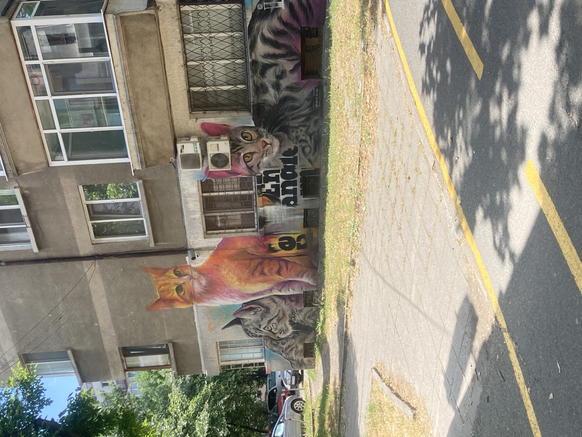 The image depicts a building facade in Burgas, Bulgaria, adorned with a large mural of three cats. The mural covers a significant portion of the building's lower levels, extending across multiple windows and air conditioning units. The cats are rendered in a realistic style, with varying fur patterns and colors. The leftmost cat appears to be a grey tabby, curled up and looking to the left. The middle cat is a large, orange tabby with pinkish hues, sitting upright and facing forward. The rightmost cat is also a grey tabby, lying down and extending across the lower part of the mural, with pink ears and accents.
Beneath the mural, there is a strip of graffiti. The building itself is a typical residential structure with multiple floors, windows, and balconies. The lower facade is painted in a muted grey color. To the left of the building, several parked cars are visible, including a silver sedan and a dark-colored hatchback. A sidewalk paved with concrete slabs runs in front of the building, bordered by a grassy area. The street in the foreground is asphalt, marked with yellow lines. Lush green trees partially obscure the upper floors of the building and cast dappled shadows on the sidewalk and street. The sky above is clear and blue. The overall scene suggests an urban environment with public art integrated into the architecture.