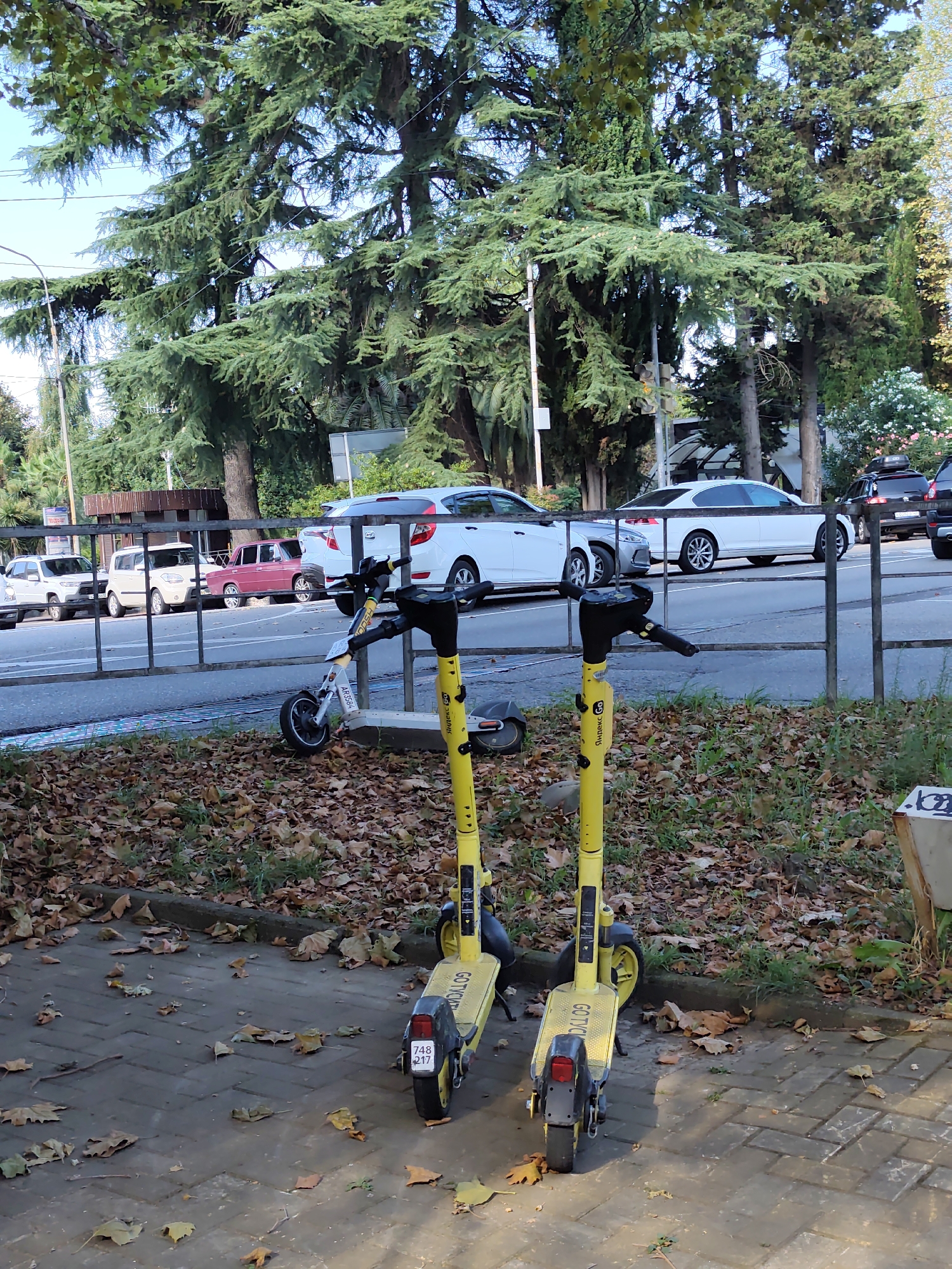 The image shows two yellow electric scooters parked on a sidewalk. The scooters are positioned next to each other, with the front of one scooter slightly ahead of the other. Both scooters have the brand name "GOTYOU" visible. The sidewalk is made of brick pavers and is covered in fallen autumn leaves. Behind the sidewalk is a grassy area with more fallen leaves and some sparse green grass. A metal fence runs along the edge of the sidewalk, separating it from a road. Several cars are parked or driving on the road. In the background, there are tall evergreen trees and buildings. The sky is visible and appears to be a clear blue. The scene is likely located in Sochi, Russia, given the presence of the "GOTYOU" scooter rental service, which operates in that city. There are no people visible in the image.