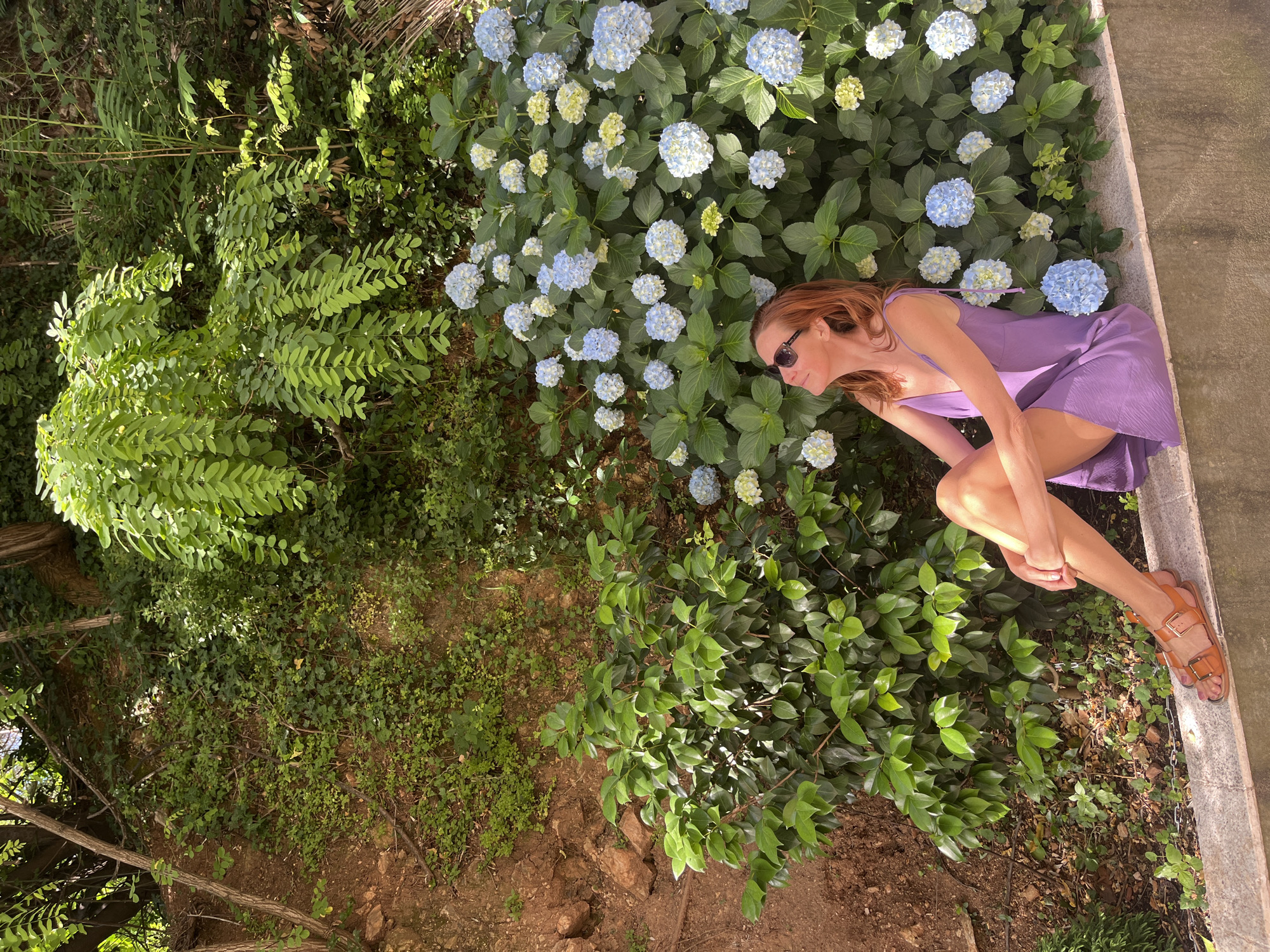 A woman with auburn hair, wearing sunglasses and a purple dress, lies in a bed of blue hydrangeas, positioned between green foliage and a concrete ledge. She is wearing brown sandals. The image is taken from an elevated, overhead perspective. The location appears to be an outdoor garden area, likely in Budva, Montenegro, judging from the presence of Mediterranean vegetation. The woman appears to be posing.
