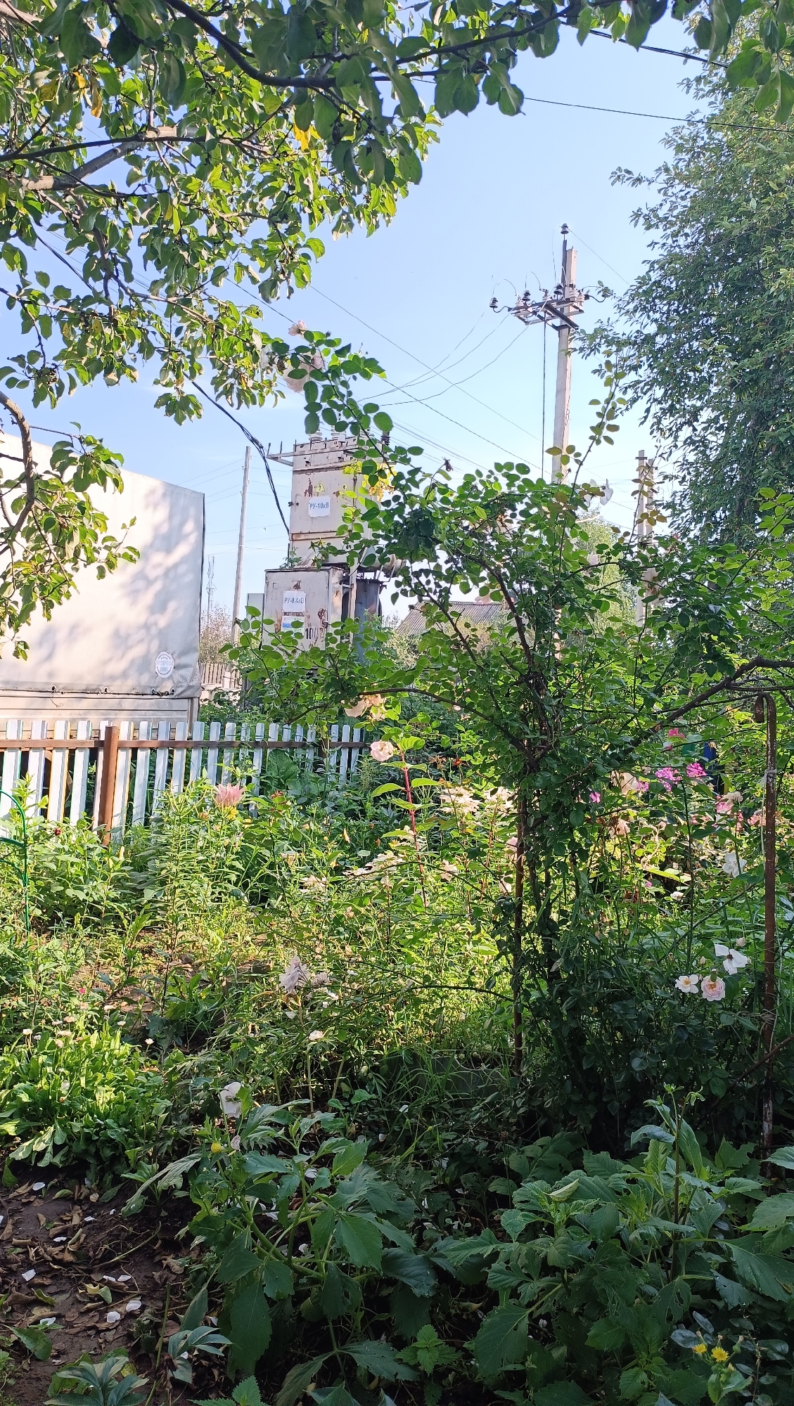 The image depicts an outdoor scene, likely a garden or yard, with lush green foliage and flowers. In the background, industrial structures, including electrical transformers and poles with overhead wires, are visible. A white picket fence runs horizontally across the mid-ground. The lighting suggests it is daytime, with sunlight filtering through the leaves of trees overhead. The scene appears to be located in a mixed residential and industrial area, possibly in a rural or suburban setting within the city of Karsha, Russia. There are no people or animals visible in the frame.