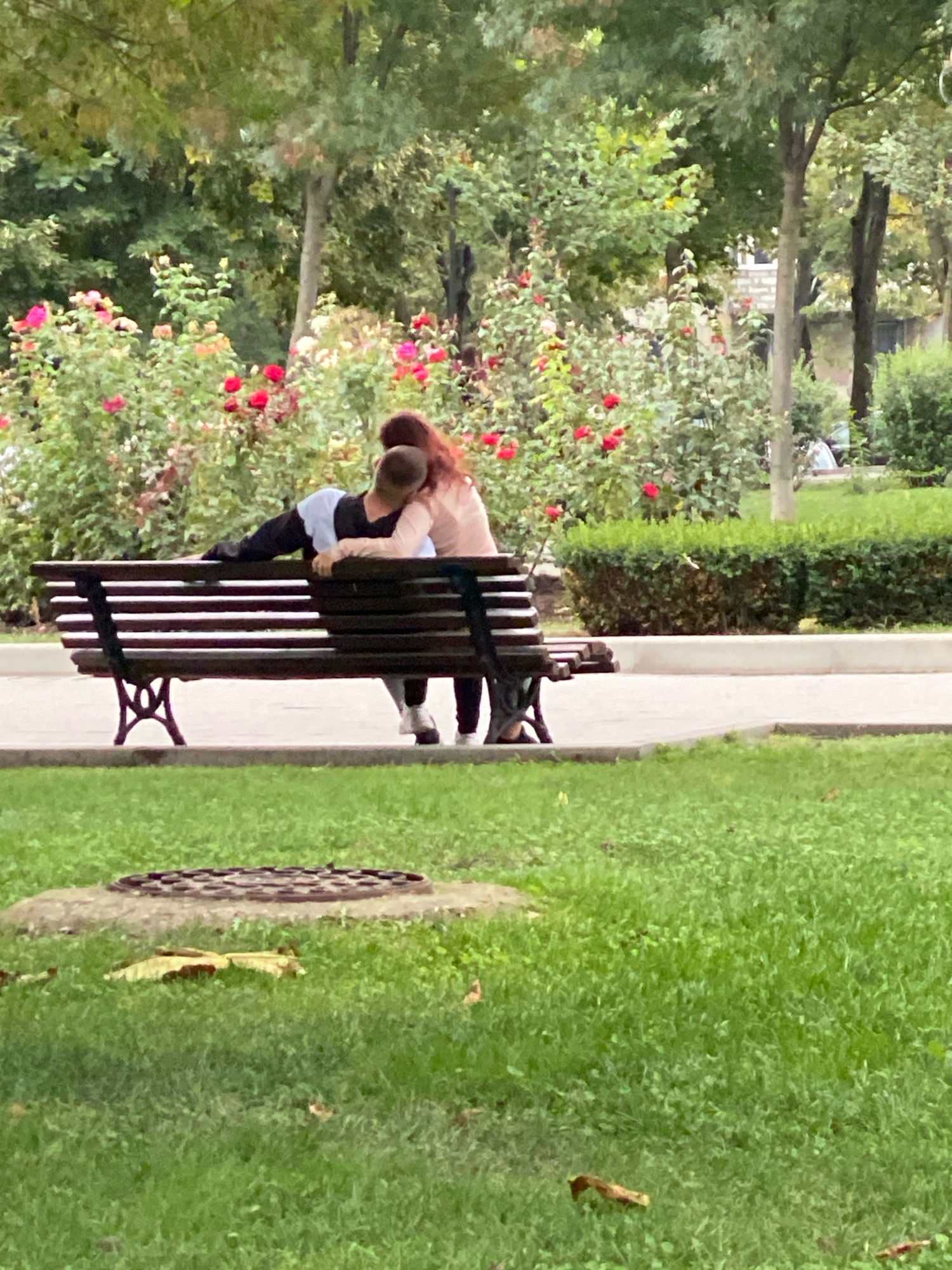 The image shows two individuals, a man and a woman, sitting on a park bench in Chișinău, Moldova. The man is on the left, leaning back with his head resting on the woman's shoulder. He is wearing a black shirt with a light blue section across the chest and black pants. The woman is on the right, facing the man, with her arm around him. She is wearing a light pink long-sleeved top and dark pants. They are both positioned on a dark brown slatted wooden bench with black metal legs.
The bench is situated in a park area with a paved walkway behind it. A manicured green hedge borders the walkway, and beyond that, there are trees with lush green foliage and flowering bushes, some with pink and red flowers, likely roses. In the foreground, there is a grassy area with a circular manhole cover visible. The lighting suggests it is daytime, possibly late afternoon, with soft, diffused light filtering through the trees. The overall environment appears to be a tranquil public park, characteristic of urban green spaces in Chișinău.