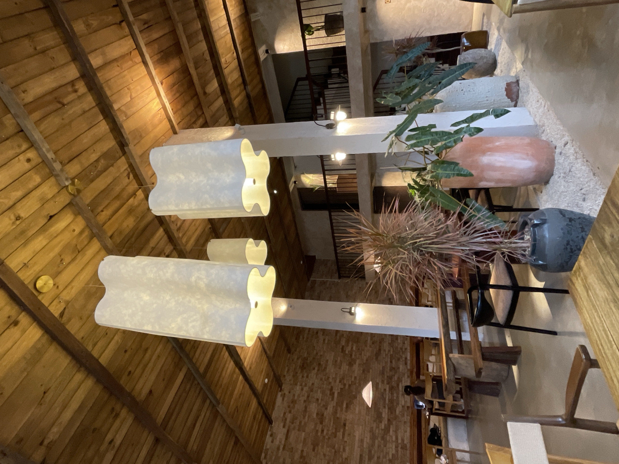 This is a vertical, eye-level shot of an interior space, possibly a restaurant or cafe, with a focus on decorative elements and architectural features. The ceiling is prominently displayed, constructed from warm-toned wooden planks arranged diagonally. Hanging from the ceiling are two large, abstract, white pendant lights with a flowing, organic shape.
Below the ceiling, a long white beam runs horizontally, from which small spotlights are attached. To the right of this beam, a variety of potted plants are visible, adding a touch of greenery. One plant has large, dark green leaves, while another has thin, spiky, reddish-brown foliage. These plants are housed in distinctive planters: a tall, textured white pot, a reddish-orange cylindrical pot, and a dark gray, oversized pot.
In the background, a multi-level staircase with dark railings is visible, suggesting a two-story or mezzanine layout. The walls appear to be a mixture of textured concrete or plaster and exposed brickwork. The overall impression is one of modern design with natural materials.
There is no visible text in the image, and the time of day and weather are not discernible from the interior lighting. The scene evokes a sense of calm and aesthetic sophistication, typical of a well-designed contemporary establishment. The location is identified as Da Lat, Vietnam, which might suggest a tropical or temperate climate influencing the design choices.