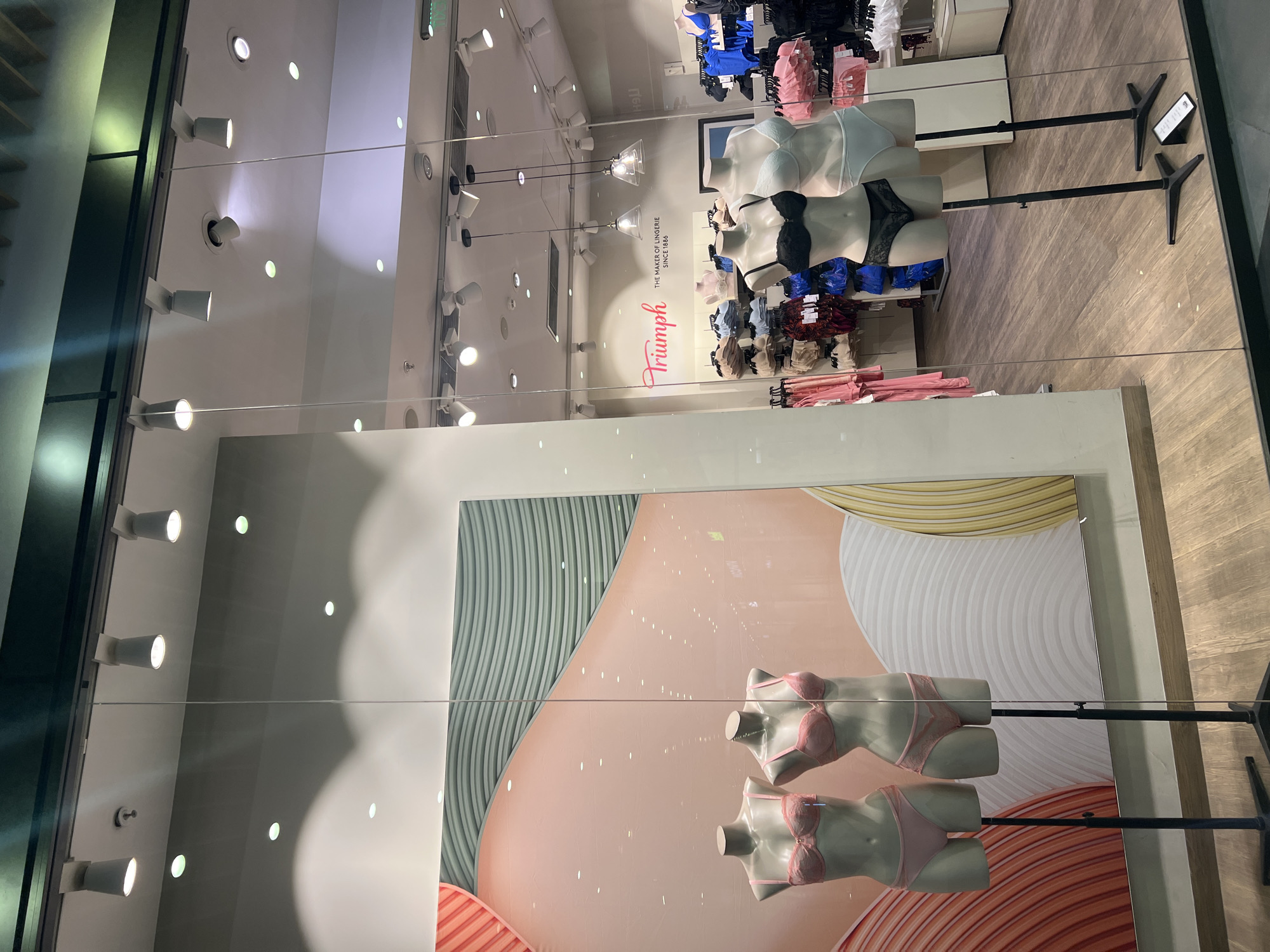 The image shows a retail store window displaying lingerie. The store, seemingly a Triumph outlet based on the logo, presents a selection of bras and underwear on mannequins within the store's interior, visible through the window. There are reflections in the glass, including overhead lighting and interior store elements. On the store window, a large graphic illustration featuring a stylized design and figures in lingerie sets is displayed. The mannequins are placed on stands. Based on the location in the city of Plovdiv, Bulgaria, and given that it is a Triumph store, the image likely originates from a shopping mall or main commercial street. The store setting is characterized by brightly lit interiors with merchandise organized on racks or displayed on mannequins.