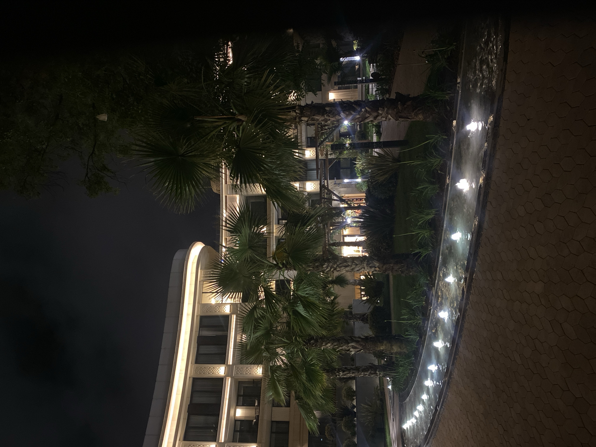 This nighttime image captures the exterior of a modern hotel or resort in Sochi, Russia. The building features a curved facade illuminated by warm, soft lighting along its upper edge. The windows are dark, and decorative architectural elements are visible between them. In front of the building, a series of small, illuminated fountains create a water feature that curves towards the foreground. Palm trees are prominently featured, with their fronds reaching towards the night sky. The ground in the foreground is paved with interlocking hexagonal stones, and landscaping with grass and other low-lying plants is visible around the fountains and palm trees. The overall atmosphere is tranquil and elegant, suggesting a luxurious setting.