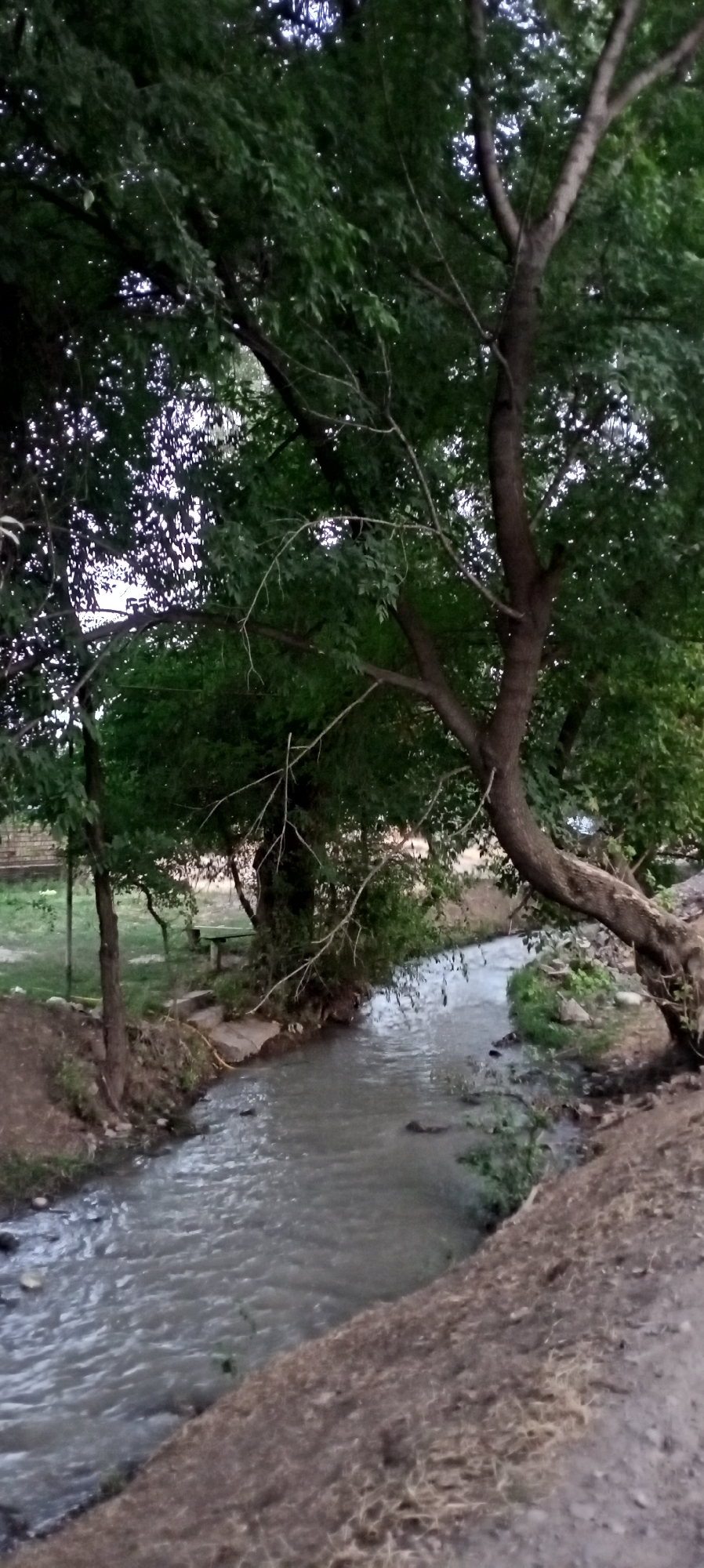 The image depicts a tranquil scene of a narrow, murky river flowing through a verdant area, likely on the outskirts of Sokuluk, Kyrgyzstan. Lush green trees with dense foliage flank the waterway, their branches extending over the water and casting shadows. The riverbank on the right side is composed of dry, earthy soil with sparse vegetation. On the left bank, the terrain is more varied, featuring dirt, some patches of grass, and a few rocks. In the distance, a wooden bench and a table are visible on a grassy area, suggesting a recreational spot. The sky is overcast, contributing to the subdued lighting of the scene. There are no people or animals visible in the image.