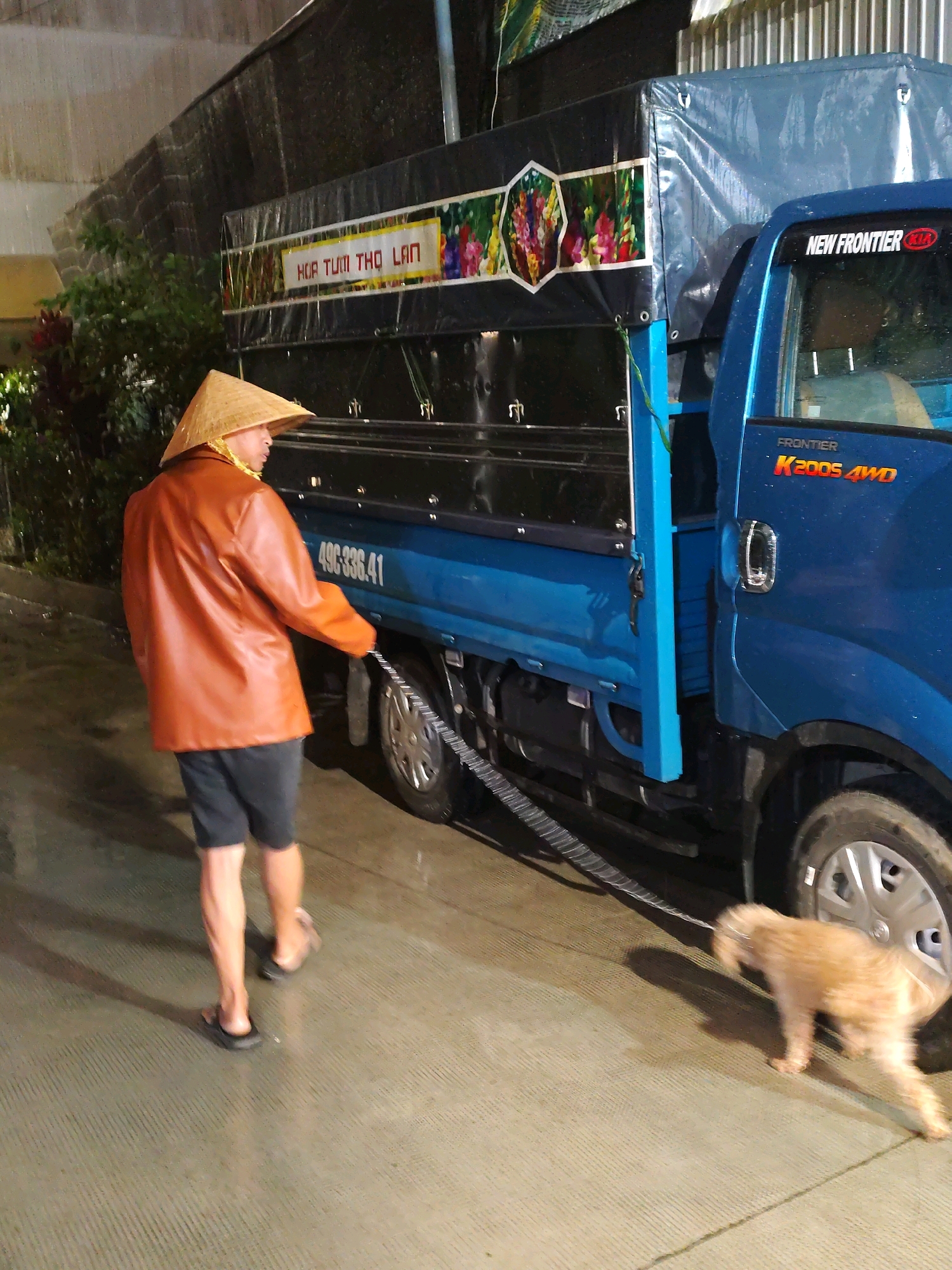 A man wearing a conical hat and an orange raincoat is walking a light brown dog on a leash. The man is on the left side of the frame, facing away from the camera, while the dog is to the right, facing the camera. They are standing on a wet, paved surface, possibly a street or parking lot, with a blue truck parked behind them. The truck has a dark tarp covering its cargo area and features text in Vietnamese, including "HOA TUM THO LAN," on its side. The license plate number is visible as "49C.336.41." The scene appears to be outdoors at night, with artificial lighting present. The presence of the license plate with the "49" prefix strongly suggests the location is Da Lat, Vietnam, as this prefix is assigned to vehicles registered in Lam Dong province, where Da Lat is the capital.