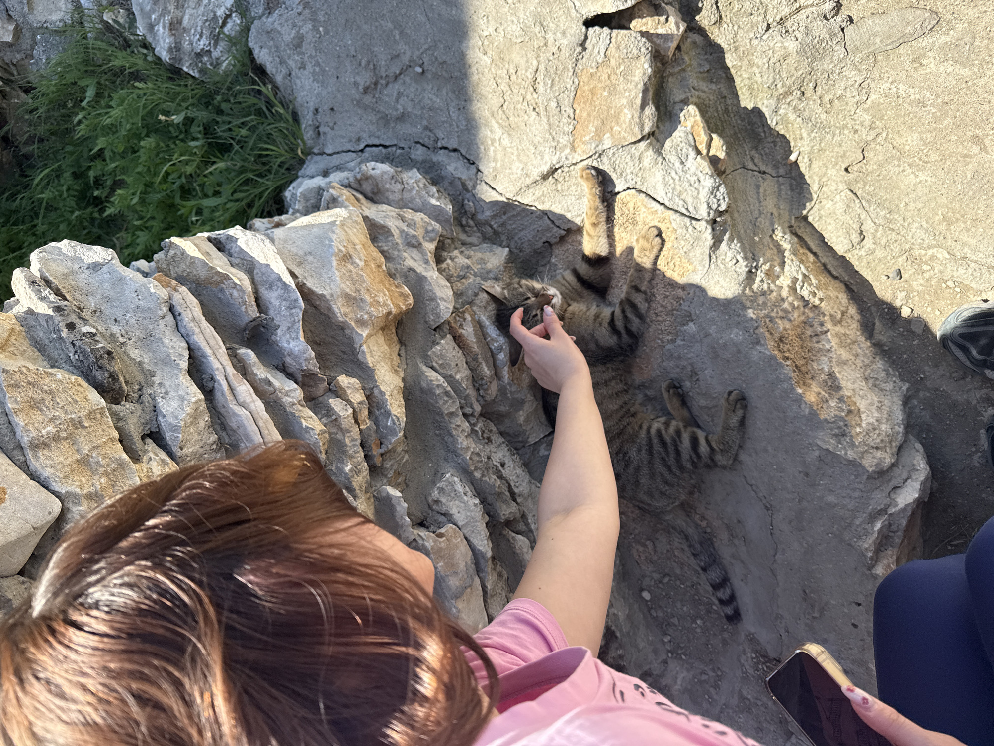 A woman is interacting with a cat amidst a rock formation in Lukovit, Bulgaria. The woman has brown hair, and she is wearing a pink t-shirt. She is petting the cat with her right hand. The cat is lying on its back on the rocky surface, its paws in the air. A smartphone is in her left hand. The area features light-colored rock formations. There is green vegetation growing amidst the rocks. Part of a dark shoe and dark blue leggins is visible in the upper right part of the picture.