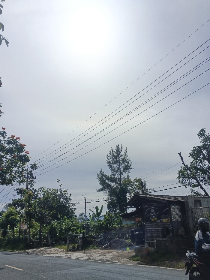 The image depicts a bright, sunny daytime scene along a rural or semi-rural road, consistent with a setting like Carcar, Philippines. The sky is intensely bright, almost appearing white, with the sun prominently visible as a brilliant, washed-out disk in the upper left quadrant. Multiple dark power lines stretch diagonally across the upper part of the frame, originating from a utility pole on the left.
The foreground shows a section of an asphalt road, with a white line visible on its left edge. Both sides of the road are densely covered with green vegetation, including various trees and bushes. A tree on the far left, near the utility pole, features distinctive clusters of orange-red flowers. In the mid-ground, a tall, slender pine-like tree stands out against the lighter sky and other foliage.
On the right side of the road, there is a rustic, single-story roadside stand or small building. It has a corrugated metal roof and appears to be constructed from simple materials like wood or concrete blocks. Several dark barrels or containers are placed outside the structure. A prominent sign on the building clearly displays the text "MAGNUM COFFEE," with another smaller sign below it showing "20.000," likely indicating a price. To the far right, partially visible, a person wearing a helmet is seated on a black motorcycle, suggesting a brief stop or a moment of rest. The scene conveys a sense of a typical, quiet day in a lush, tropical environment.