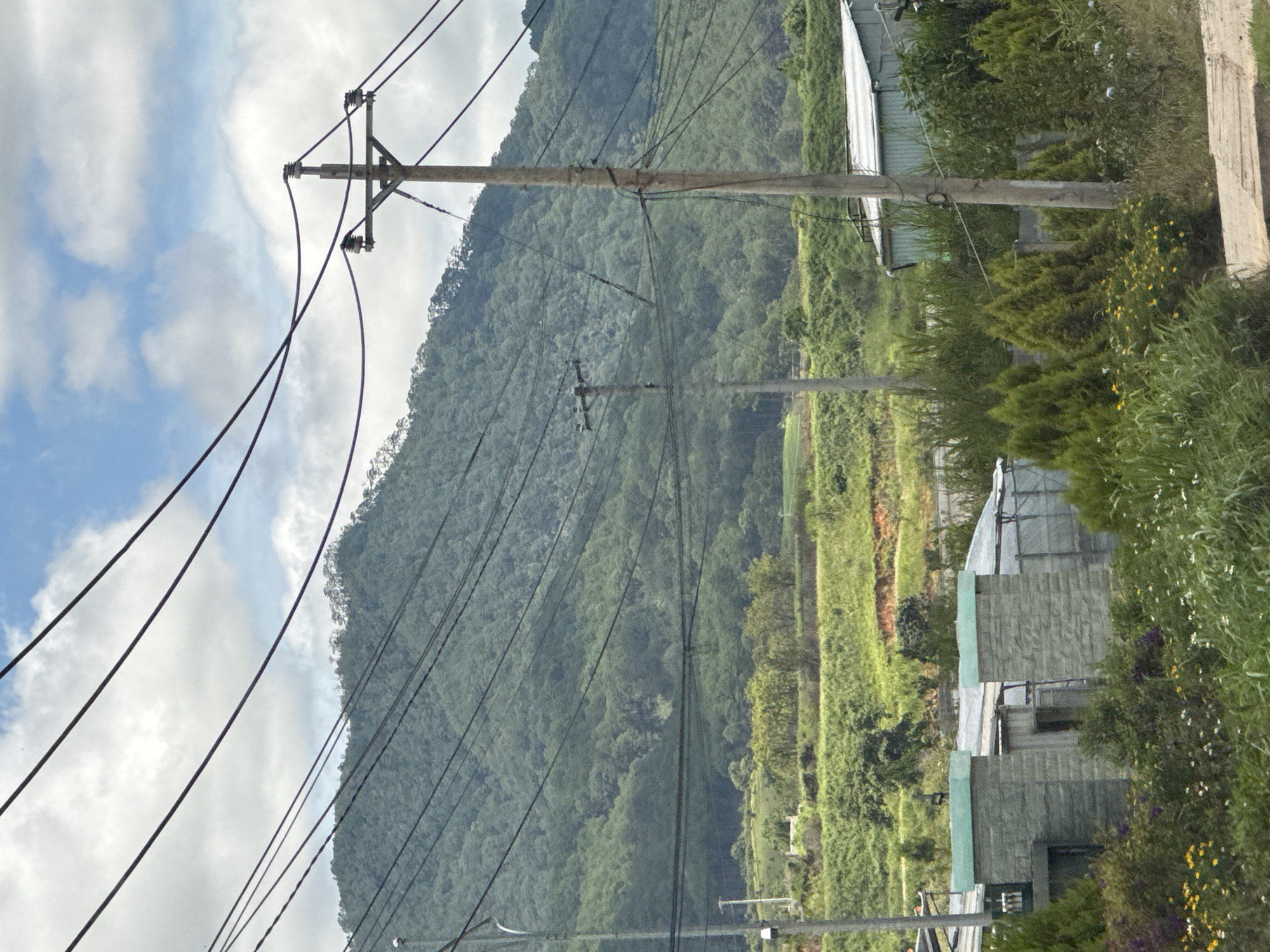 The image depicts a rural landscape in Thôn 1, Vietnam, characterized by a lush green mountainside dominating the background under a cloudy sky. In the foreground, a series of power lines crisscross the frame, supported by wooden utility poles. A light pole is visible on the left. Various structures are present, including a long, light-colored building with a corrugated metal roof on the right, and a smaller building with a light green roof and textured gray walls on the left. The vegetation consists of a dense forest covering the mountain, interspersed with grassy fields and scattered trees. In the immediate foreground, there is a mix of green grass, bushes, and wildflowers, with a dirt or gravel path visible at the bottom right. There are no people or animals visible in the scene.