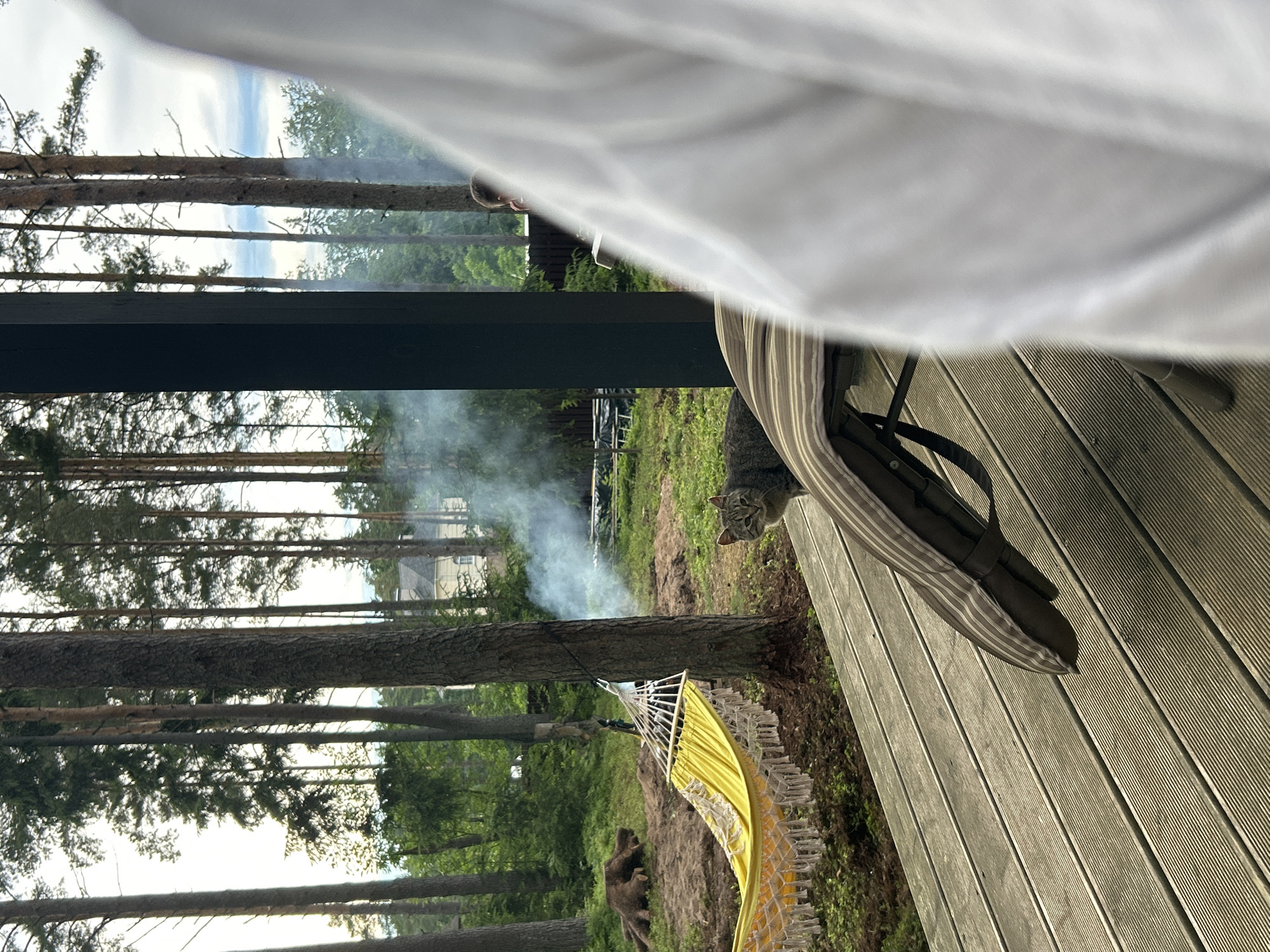 The image depicts an outdoor scene in Shepelyovo, Russia, likely a backyard or a natural setting with trees. In the foreground, a person is partially visible on the right, obscured by white fabric. A striped cushion is placed on a wooden deck, with a cat seated on the edge of the deck, looking towards the viewer. Further into the scene, a bright yellow hammock with white fringe is suspended between trees. Smoke is rising from an unseen source to the left of a tree, suggesting a barbecue or fire. A large tree stump is visible to the left of the hammock. In the background, a white building with a dark roof is partially visible through the trees, and a wooden fence runs along the edge of the property. The environment is characterized by a dense growth of tall pine trees, green foliage, and a cloudy sky.