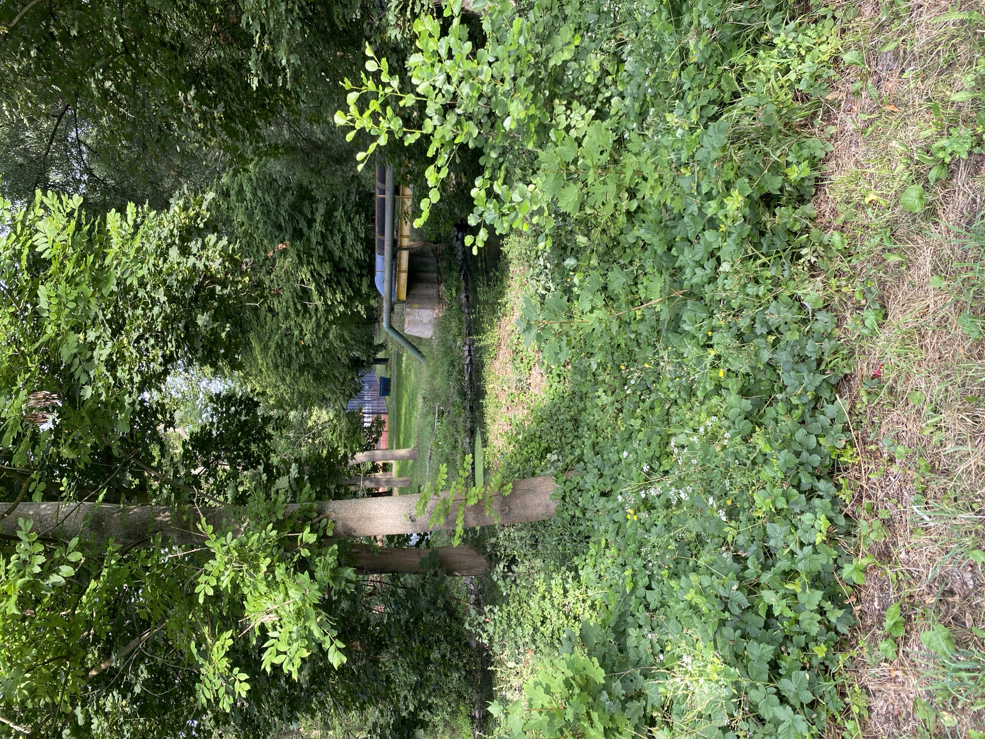 The image depicts a canal with a bridge and pipes running over it, surrounded by lush green foliage and trees. The scene is set in a park-like environment. In the background, a sports field with a fence is visible. The canal water is dark and calm, reflecting the surrounding greenery. The bridge is made of concrete and metal, with yellow beams supporting a yellow walkway. Two large pipes, one blue and one dark, are suspended above the canal, resting on the bridge structure. The foreground is dominated by dense vegetation, including bushes, shrubs, and ground cover with small white and yellow flowers. Two prominent tree trunks stand in the middle ground, with their branches and leaves extending towards the sky. The overall impression is one of a natural, slightly overgrown urban green space.