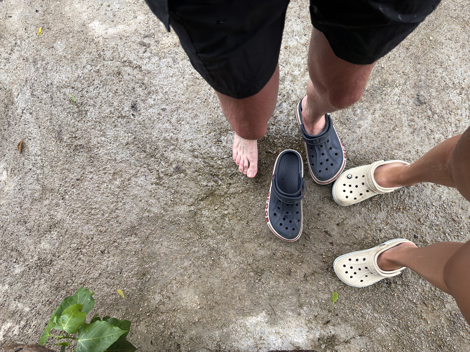 The image shows a top-down view of two pairs of Crocs shoes on a wet, gritty surface, possibly concrete or asphalt, with scattered small stones. In the lower left, a pair of light beige Crocs are on a person's feet. To the right and slightly higher, a pair of dark navy Crocs with red trim are on another person's feet, with one bare foot visible between them. Further up and to the right, another bare foot is visible next to a dark navy Croc. Black shorts are visible on at least two individuals. In the upper left corner, a plant with large green leaves is partially visible. The scene appears to be outdoors, possibly in a public area or backyard in Khanh Vinh, Vietnam, given the texture of the ground and the presence of tropical foliage.