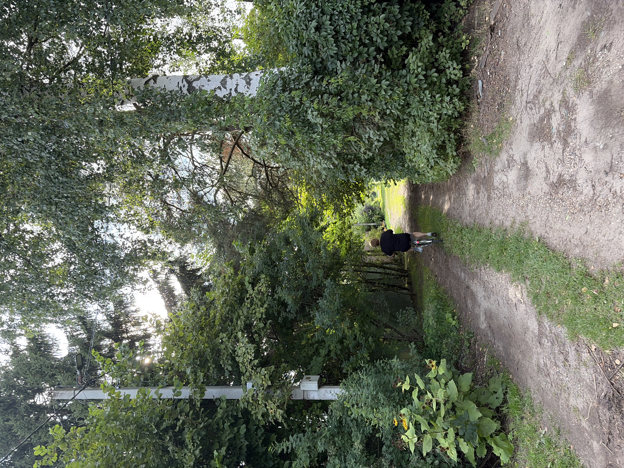 A person is riding a bicycle on a dirt path lined with trees and vegetation in the city of Elektrotekhnik SNT, Russia. The path appears to be a rural or suburban road. The person is wearing a black t-shirt and shorts and is seen from behind. The trees are dense and leafy, and the sun is shining through the branches, creating dappled light on the path. The overall scene suggests a leisurely ride through a natural environment.