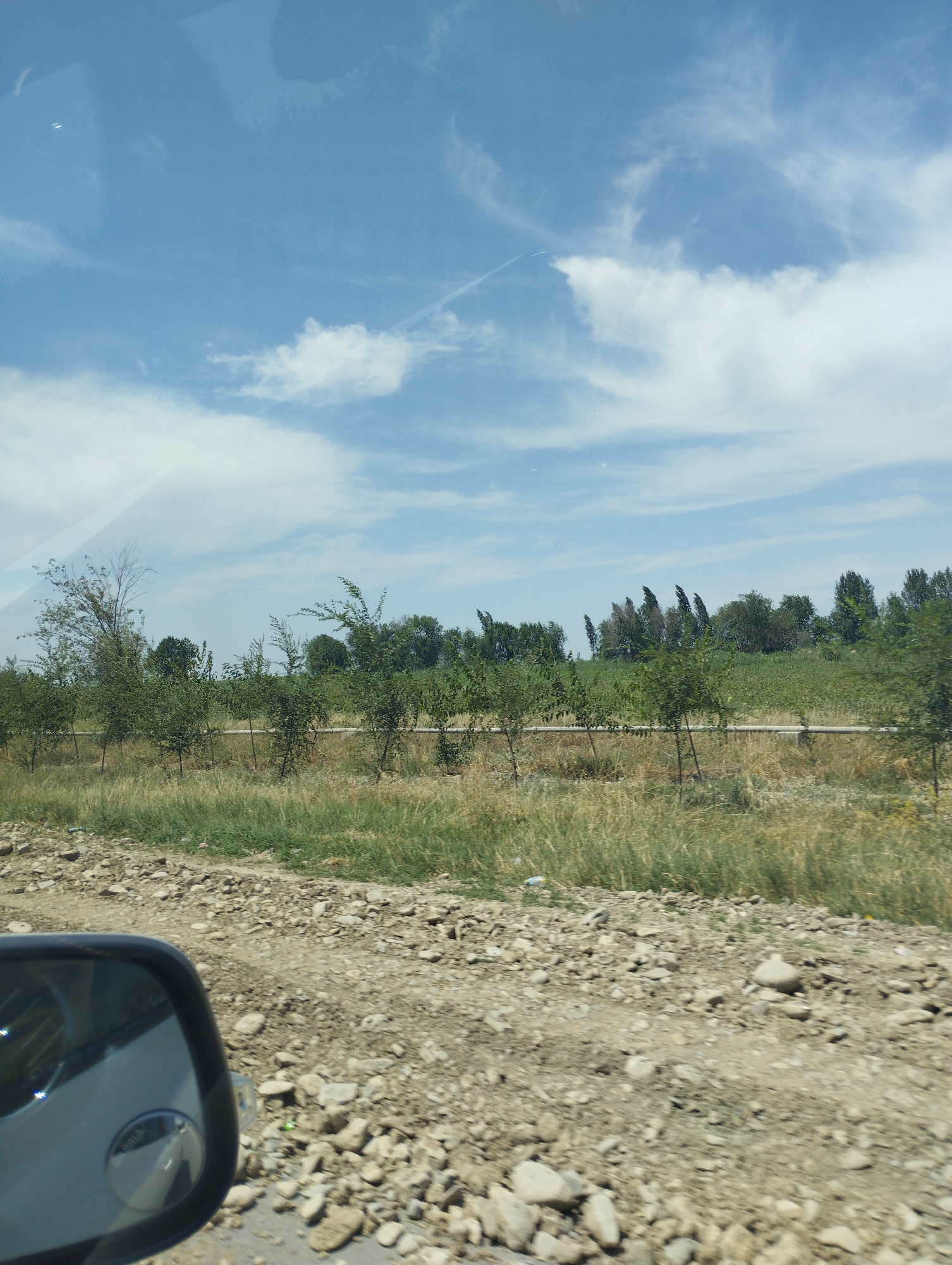 The image shows a roadside view, likely from a vehicle, in or near the city of Bustan, Uzbekistan. In the foreground, a gravelly, dirt road with scattered stones is visible, with the side mirror of a vehicle on the left. Beyond the road is a strip of dry, yellowish grass and some green vegetation. Further back, a line of young trees with thin trunks and sparse foliage stretches across the middle ground, interspersed with taller trees and bushes. Some of these trees appear to be bent or leaning, possibly due to wind. In the background, there are fields of crops and more trees, indicating a rural or semi-rural setting. The sky is blue with scattered white clouds and a faint contrail from an aircraft. The overall impression is of a bright, sunny day in a dry, agricultural region.