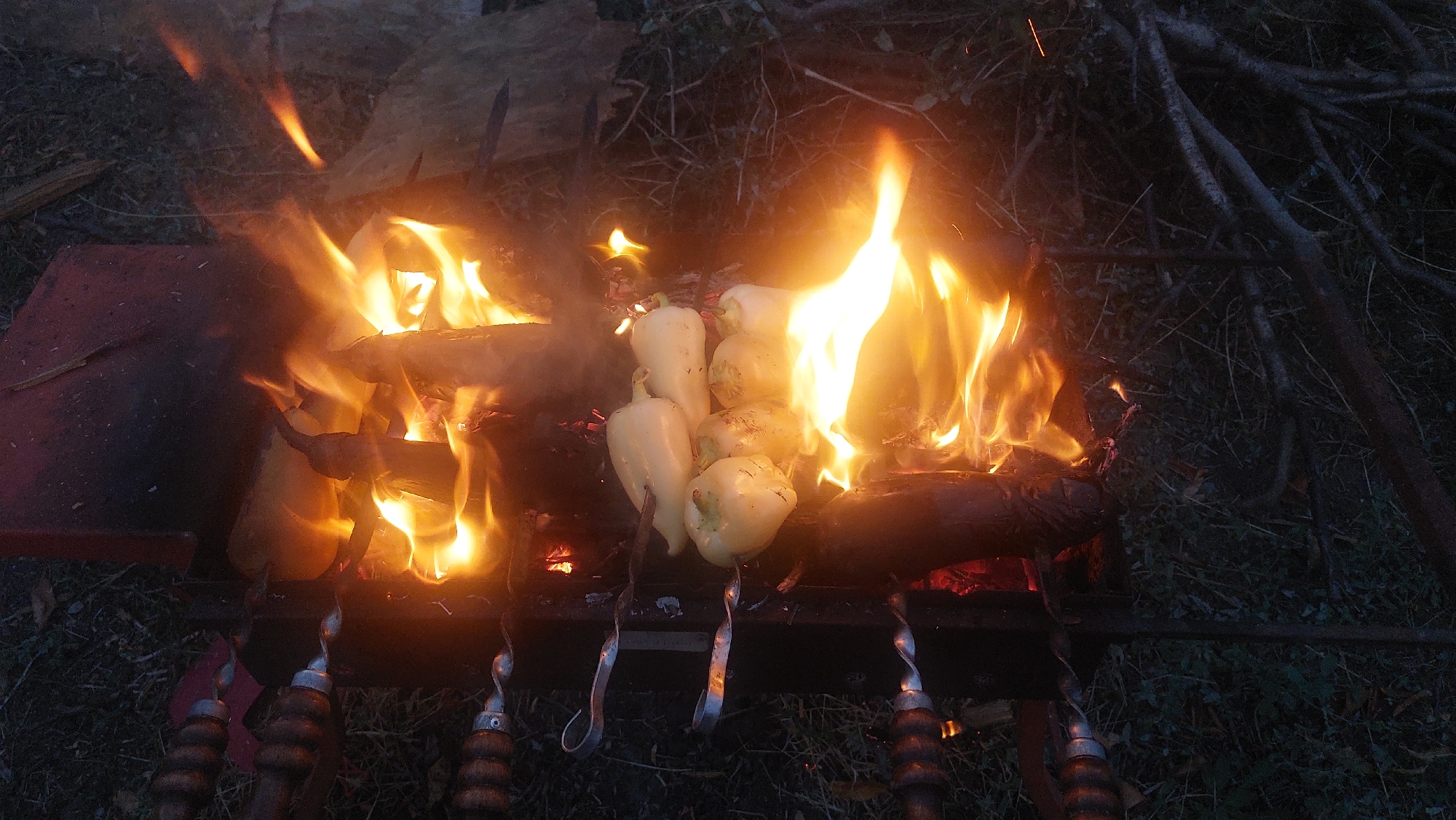 A close-up, high-angle shot captures a barbecue grill with peppers over an open fire in Мысовское сельское поселение, Ukraine. The grill, made of dark metal with ornate handles on its skewers, holds several white bell peppers skewered and positioned above glowing embers and dancing flames. The fire is intense, with bright orange and yellow flames consuming logs and casting a warm light. Around the grill, the ground is covered in dry leaves and twigs, with visible grass and tree branches forming a natural, rustic backdrop. The scene suggests an outdoor cooking activity, likely in the evening or a dimly lit setting, emphasizing the vibrant colors of the fire and the food.