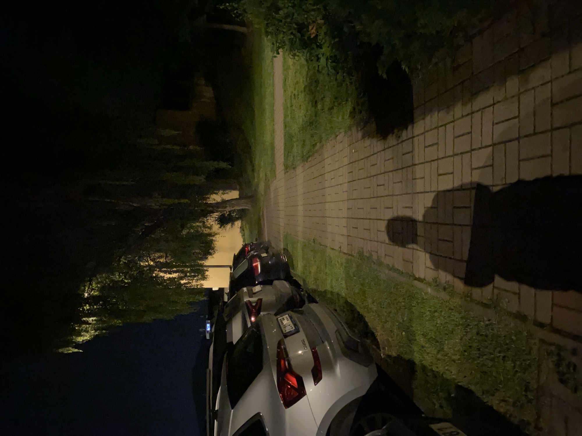 At nighttime in Bílina, Czechia, a paved pedestrian walkway runs parallel to a row of parked cars. The walkway is made of light-colored rectangular bricks, and the cars are parked on the grass to the left of the walkway. The trees overhead cast shadows, and a person's shadow is visible on the walkway, indicating their presence near the scene. The overall environment suggests a residential or urban area at night.
