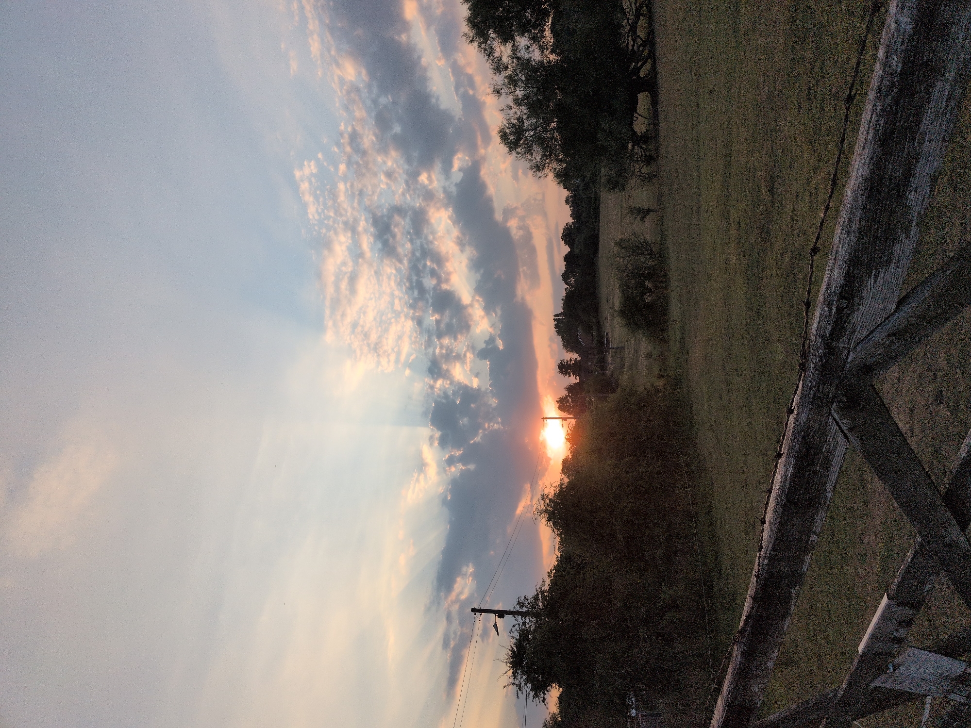 The image depicts a rural landscape at sunset, possibly in Dawley, United Kingdom. In the foreground, a weathered wooden fence with barbed wire runs horizontally across the frame. Beyond the fence, a grassy field stretches towards a line of trees and bushes. In the middle ground, a cluster of trees forms a dark silhouette against the setting sun. The sun itself is visible near the center of the image, casting rays of light through scattered clouds. The sky above is a mix of pale blue and soft pink, with wispy clouds. The overall scene conveys a sense of tranquility and the end of the day.
