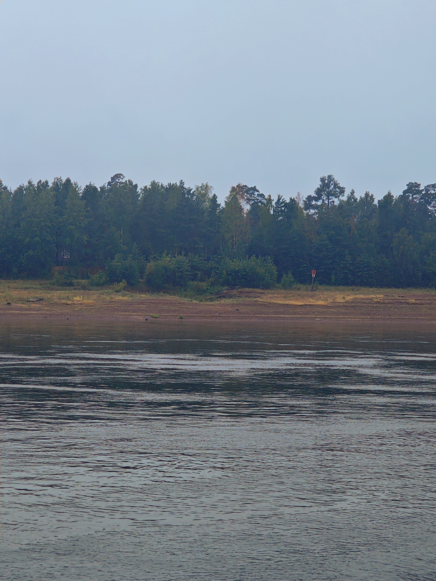 This is a vertical, medium shot, eye-level, full-color photograph of a wide river with a tree-lined bank and a light overcast sky. The river fills the bottom half of the frame, with the surface of the water rippled and reflecting the overcast sky. The bank of the river is a strip of reddish-brown earth with some patches of dry grass. Behind the bank is a dense line of dark green trees, primarily deciduous with some conifer trees mixed in. The sky is a uniform pale gray. There are no people or animals visible in the frame. The scene is likely a natural landscape, possibly in or around the city of Lesosibirsk, Russia, given the presence of a dense forest and a wide river, characteristic of the Siberian region.