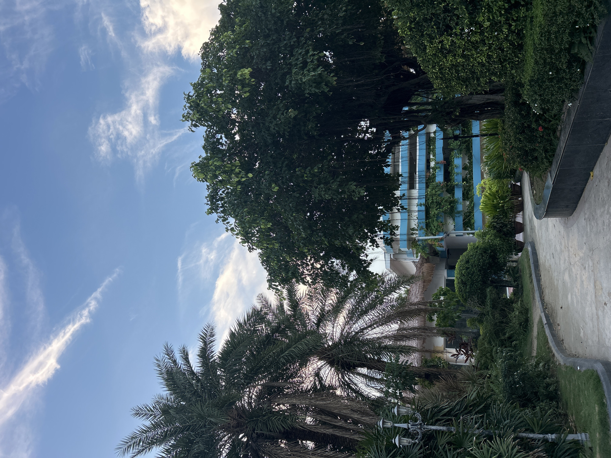 The image depicts an outdoor scene with lush greenery and a modern building under a partly cloudy sky. In the foreground, a curved paved pathway leads through a well-maintained garden with various plants, including palm trees on the left and a large, dense tree with hanging aerial roots on the right. A vintage-style lamppost stands to the left of the pathway.
In the background, a multi-story building with blue balconies and white facades is visible, with climbing plants adorning some of the balconies. The building appears to be modern architecture. The sky is a vibrant blue with wispy white clouds, suggesting a pleasant day.
There are no people visible in the image. The setting appears to be a resort, hotel, or a similar public space, possibly in a tropical or subtropical climate, given the presence of palm trees. The scene is peaceful and well-landscaped. The location is identified as Nha Trang Ward, Vietnam.