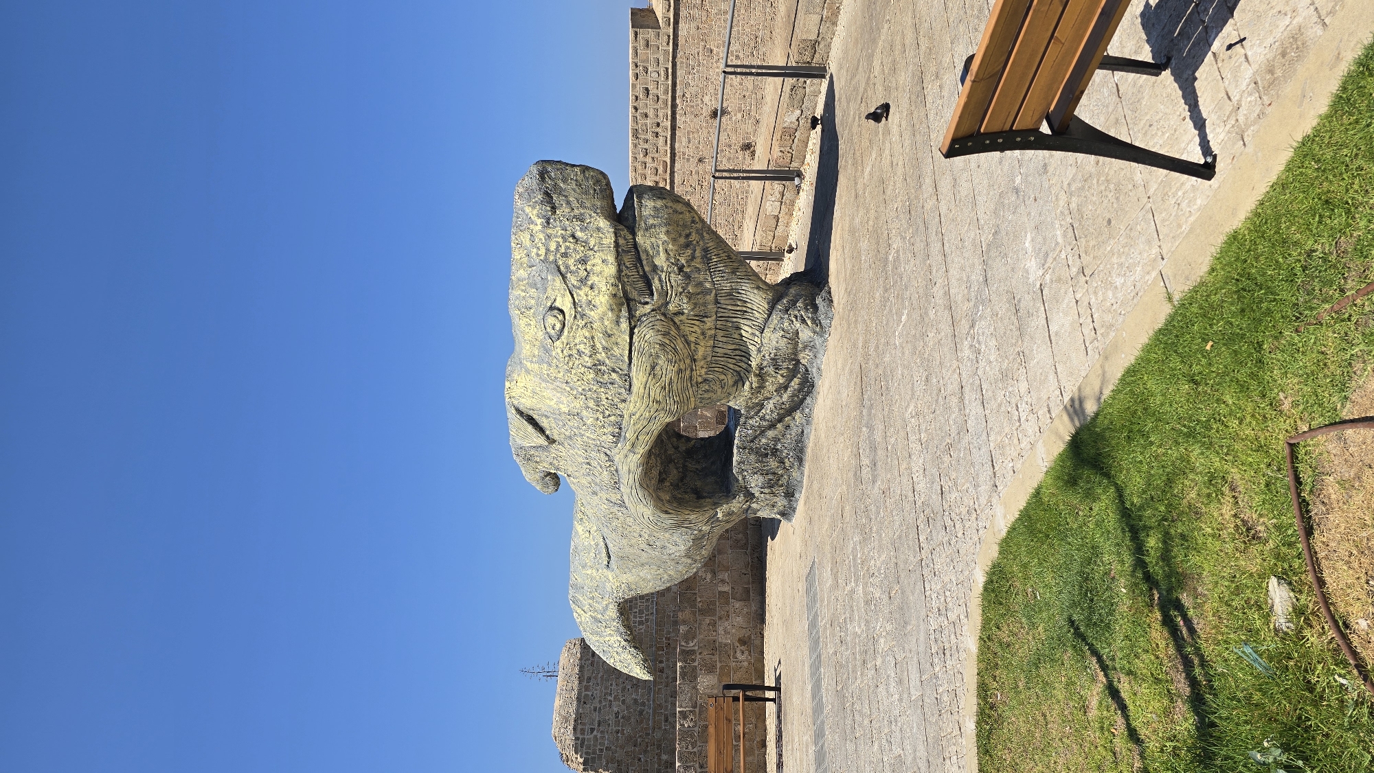A large, stylized stone sculpture, appearing to be a whale or sea creature, is positioned centrally in an outdoor plaza. The sculpture has a hollowed-out section in its middle. It is weathered and textured, with a yellowish-green hue. To the left of the sculpture, a wooden bench with dark metal legs sits on a stone-paved area. Behind the sculpture and bench, a wall constructed of rough-hewn stones forms a backdrop, topped by a crenellated parapet. The sky above is a clear, bright blue. In the background, a portion of another stone structure is visible. In front of the sculpture, the stone pavement continues, bordered by a strip of green grass on the left and right. More stone paving is visible to the right, where another wooden bench with dark metal legs is situated. Several dark birds are scattered on the stone pavement. The scene appears to be located on a coastal fortification in the city of Acre, Israel, likely within the Old City or its vicinity, given the architectural style of the walls.