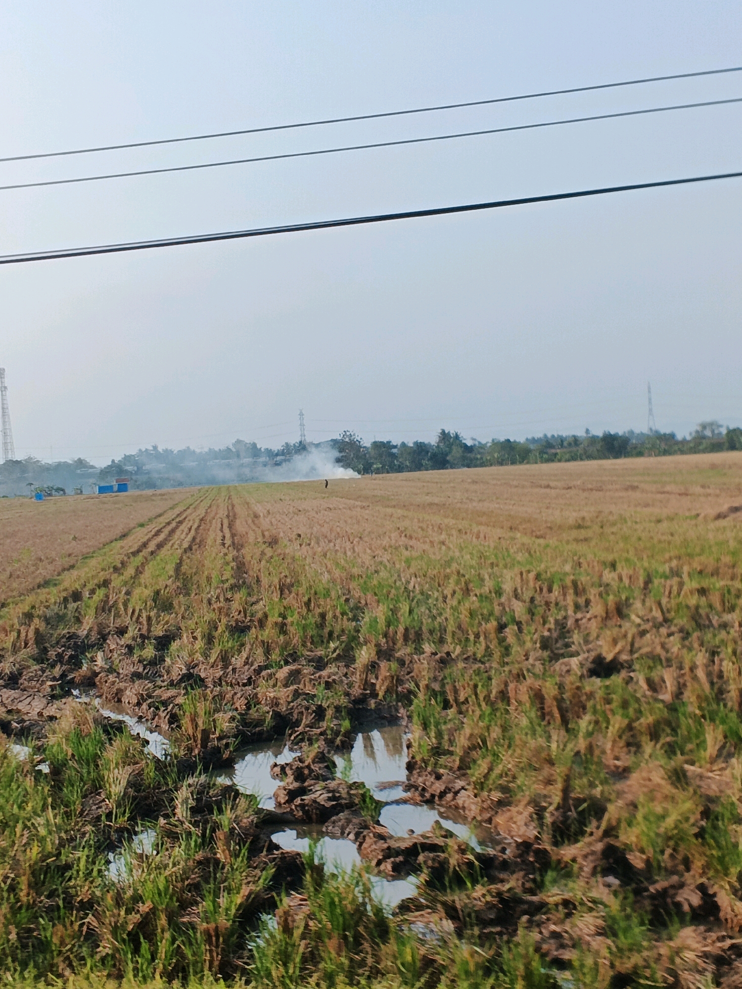 The image shows a rural scene in Doplang, Indonesia, with a harvested rice field. The field is mostly dry stubble, with some patches of green grass and muddy water. In the background, there is smoke rising from a fire, and a person is visible standing near the fire. There are also some structures in the distance, including what appear to be blue tarps and a cell tower. Power lines are visible in the sky. The overall impression is one of agricultural activity and possibly controlled burning.