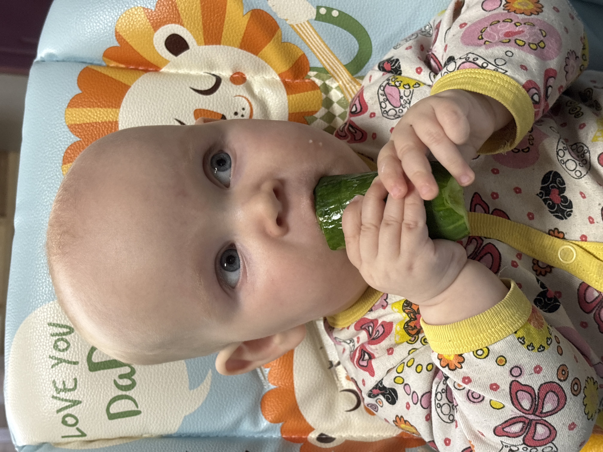 A baby is lying on a blue and yellow patterned mat and holding a cucumber in their hands, with one end in their mouth. The baby has fair skin, blue eyes, and a bald head. They are wearing a patterned onesie with yellow cuffs. The mat has a cartoon lion design and the words "Love You Dad" printed on it. There is no evidence to suggest this image was taken in Votkinsk, Russia.