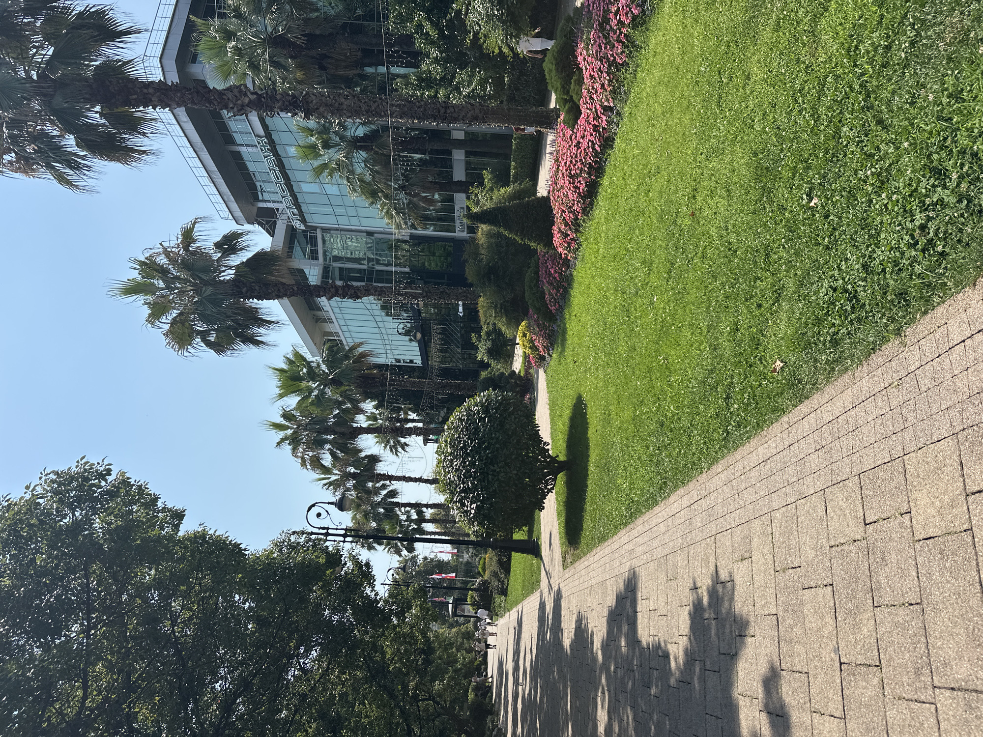 The image depicts a sunny day in Sochi, Russia, likely along the coastal promenade or a park adjacent to a modern building. A paved walkway, constructed from light-colored rectangular stones with a darker, textured border, stretches into the distance on the left. Tall palm trees dominate the scene, with their fronds creating dappled shadows on the walkway. A neatly manicured lawn with vibrant green grass occupies the right side of the frame, bordered by a colorful flower bed featuring pink and red blossoms. In the background, a multi-story building with a glass facade and a light-colored exterior is visible, possibly a hotel or administrative building. The building has a sign with Russian text. Several people can be seen walking on the pathway, appearing relaxed and enjoying the pleasant weather. A decorative lamppost stands near the walkway, adding to the urban park ambiance. The sky is a clear, bright blue, indicating a cloudless day.