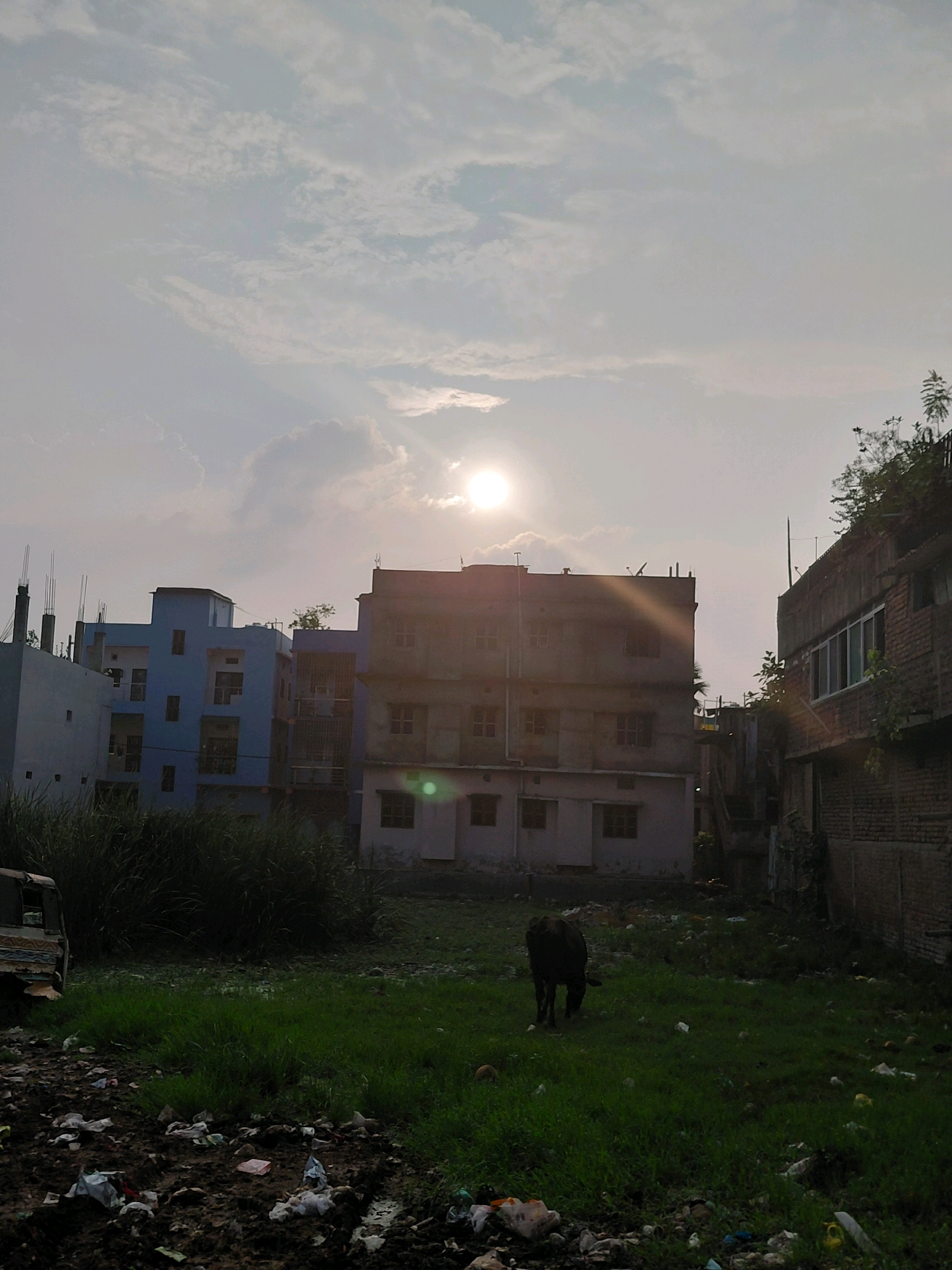 The image depicts a street scene in Patna, India, characterized by a mix of residential buildings, overgrown vegetation, and scattered garbage. The sky is partly cloudy with the sun visible, casting a warm light on the buildings and creating lens flares. In the foreground, a patch of grassy land is littered with plastic bags, wrappers, and other debris. A dark-colored bovine, likely a cow, is grazing in the middle ground. Several multi-story buildings are visible, ranging in color from light blue to a pale pinkish-brown. Some buildings appear under construction, with exposed rebar on a rooftop. To the right, a brick building with a white-framed window is visible. The overall impression is one of an urban area with signs of development alongside environmental neglect.