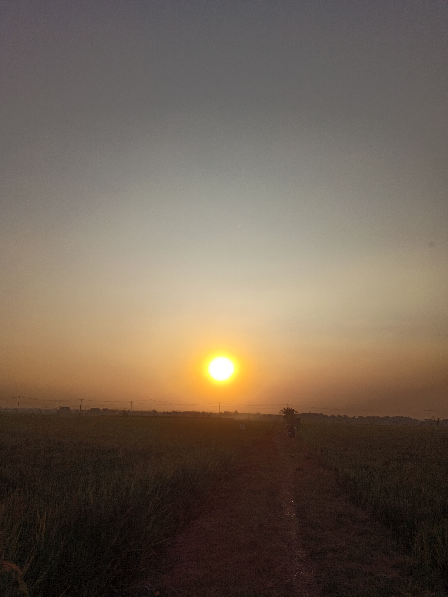 The image depicts a sunset scene in the city of Karangtalun, Indonesia. The sun, a bright orb of yellow-orange, is positioned centrally in the frame, casting a warm glow across the sky. The sky transitions from a pale blue at the top to a deeper orange hue closer to the horizon.
The foreground is dominated by a field of tall, green grass, possibly a rice paddy, which appears dark and lush. A dirt path runs through the middle of the field, leading towards the distant horizon. Along the horizon, faint silhouettes of trees and structures can be observed, hinting at a rural or semi-urban landscape. A single palm tree stands out amidst the distant greenery, its fronds silhouetted against the sunset.
In the mid-ground, a scooter is parked on the dirt path. The presence of the scooter suggests human activity in the area. The overall environment is serene, characterized by the natural beauty of a sunset over an agricultural landscape. The lighting suggests either early morning or late evening.