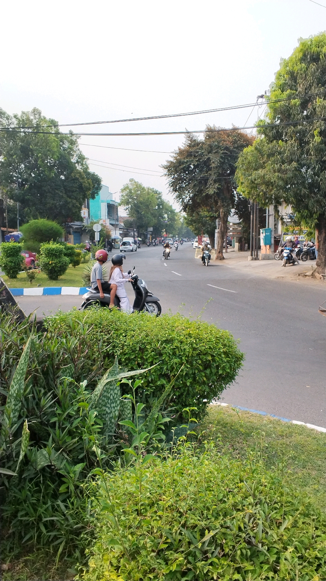 In Banjaragung, Indonesia, a street scene unfolds with vehicles and lush greenery. Two individuals, one seated behind the other, are riding a black scooter. The front passenger wears a white headscarf and white clothing, while the rear passenger has a red helmet. The scooter is on the road, near a paved area with blue and white markings, bordered by a manicured green hedge in the foreground. Several other motorcycles and a white car are visible on the road, suggesting moderate traffic. Trees line the street, with some buildings appearing in the background. The sky is overcast, indicating a daytime setting.