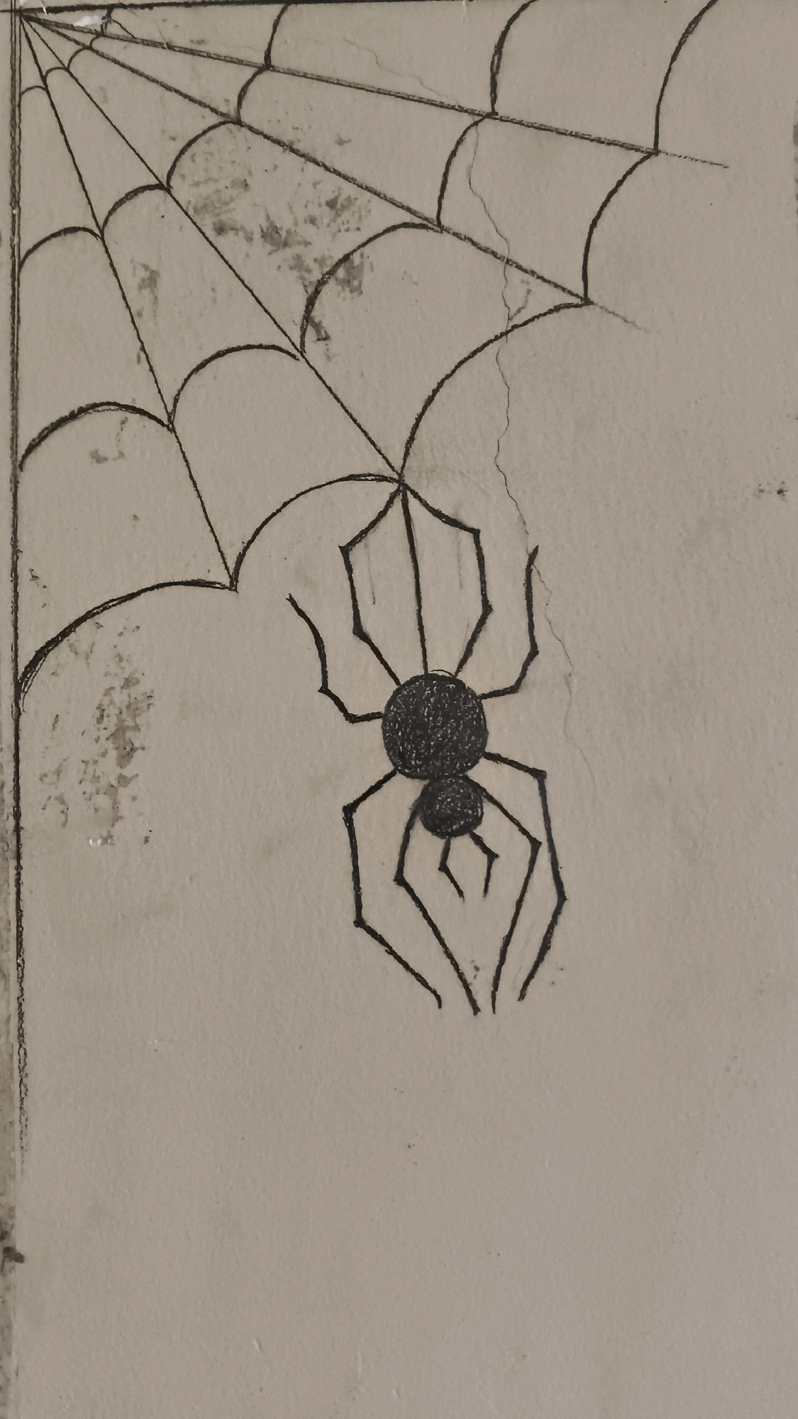The image shows a drawing of a spider on a wall. The drawing is in black and white and appears to be done with charcoal or pencil. The spider is depicted hanging from a web. The wall is a light beige color and shows some signs of wear and tear, including cracks and some discoloration. The location is specified as Sarafpalle, India, though there are no visual elements in the image that would specifically indicate this location. The drawing is positioned in the upper left quadrant of the image, with the spider in the center.