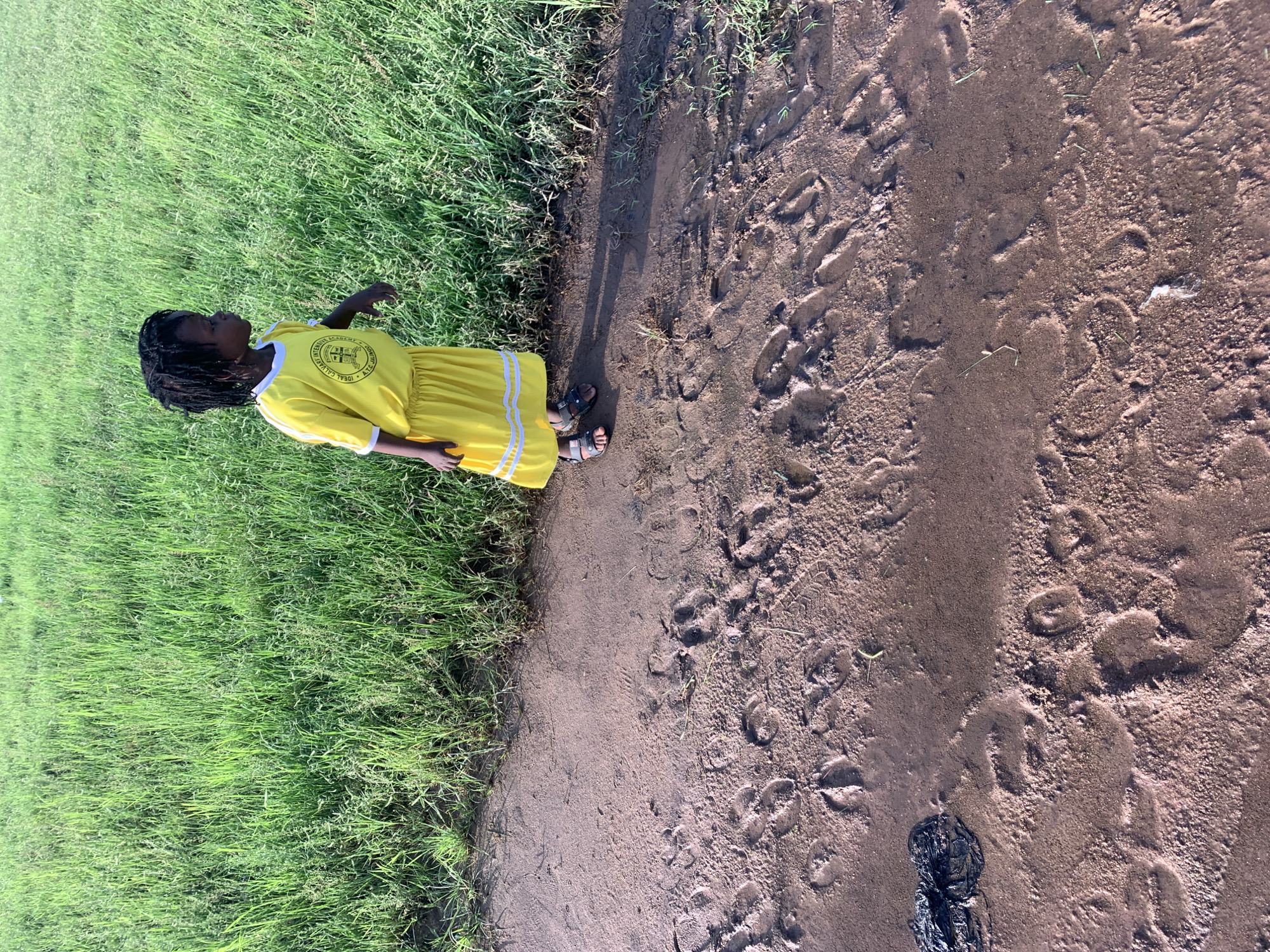 A young girl stands on a muddy path next to a grassy field. The girl is wearing a yellow dress with white stripes around the hem and a circular emblem on the chest. She is facing to the right, looking away from the camera. The path is covered in numerous footprints, some appearing to be from animals, as well as a piece of black material. The grass field behind her is tall and green, suggesting a rural or semi-rural environment in Jalingo, Nigeria. The lighting indicates it is daytime.