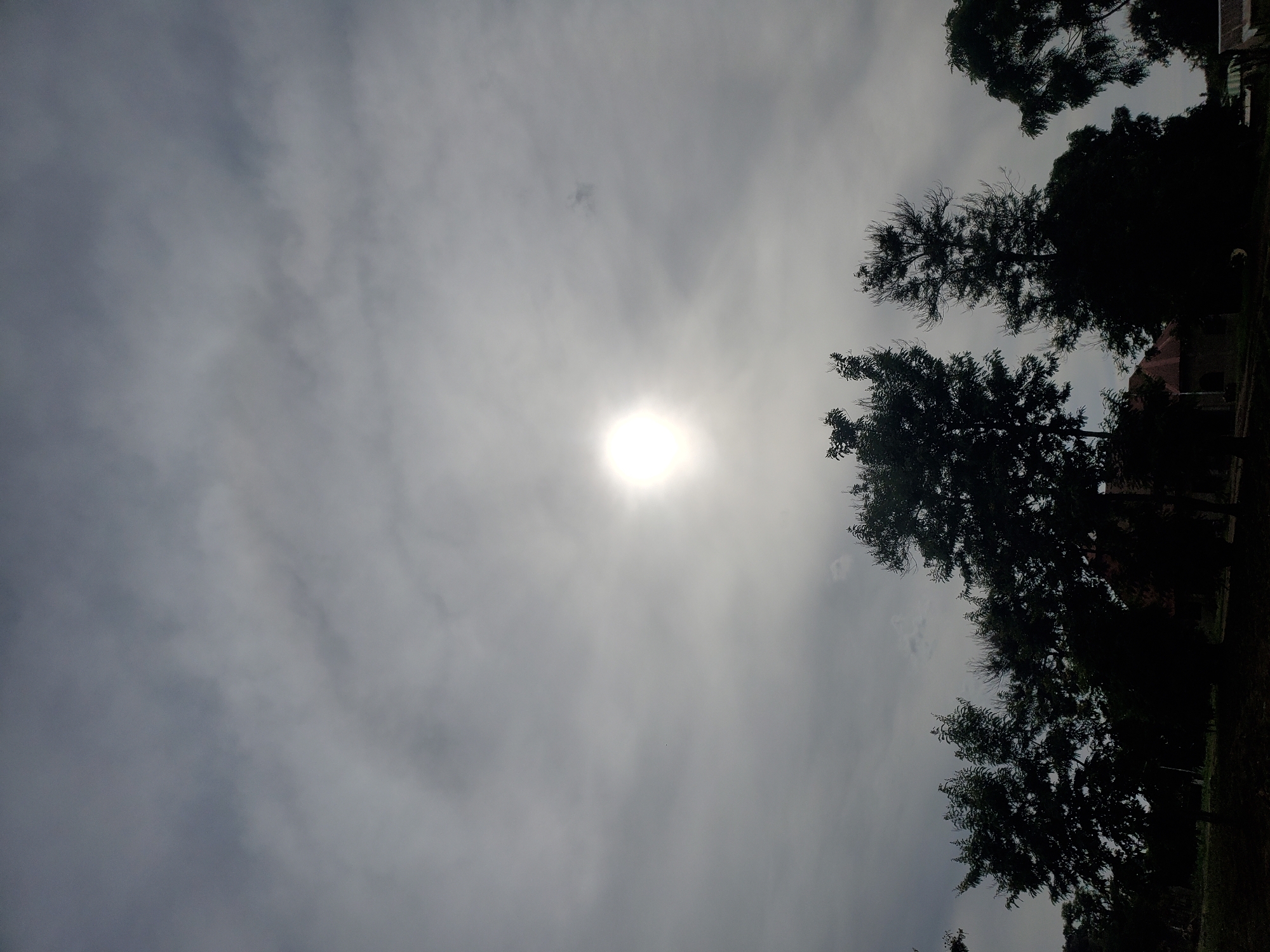 The image depicts an outdoor scene with a bright sun partially obscured by clouds. Silhouetted against the sky are several trees, some appearing full and leafy, others more sparse. The lower portion of the image shows a dark, unlit area that may be a ground or foreground, with hints of structures and vegetation. The overall impression is of a partly cloudy day with the sun as the dominant light source. The location is identified as Kabwir, Nigeria.