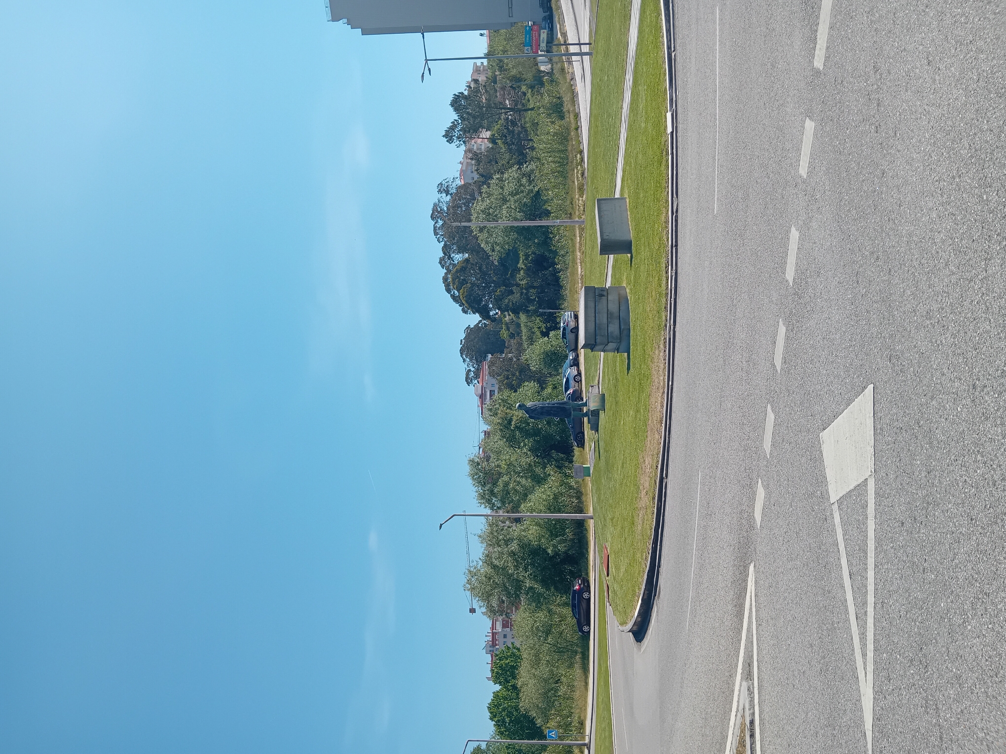 The image shows a street scene in Figueira da Foz, Portugal. A statue of Joaquim Sotto Mayor, a Portuguese doctor, professor, and politician, stands in the center of a grassy median, surrounded by trees and foliage. The statue appears to be dark in color. Several parked cars are visible along the median. The median is bordered by a paved road with white lane markings. The sky is clear and blue. In the background, residential buildings can be seen. There are also streetlights.