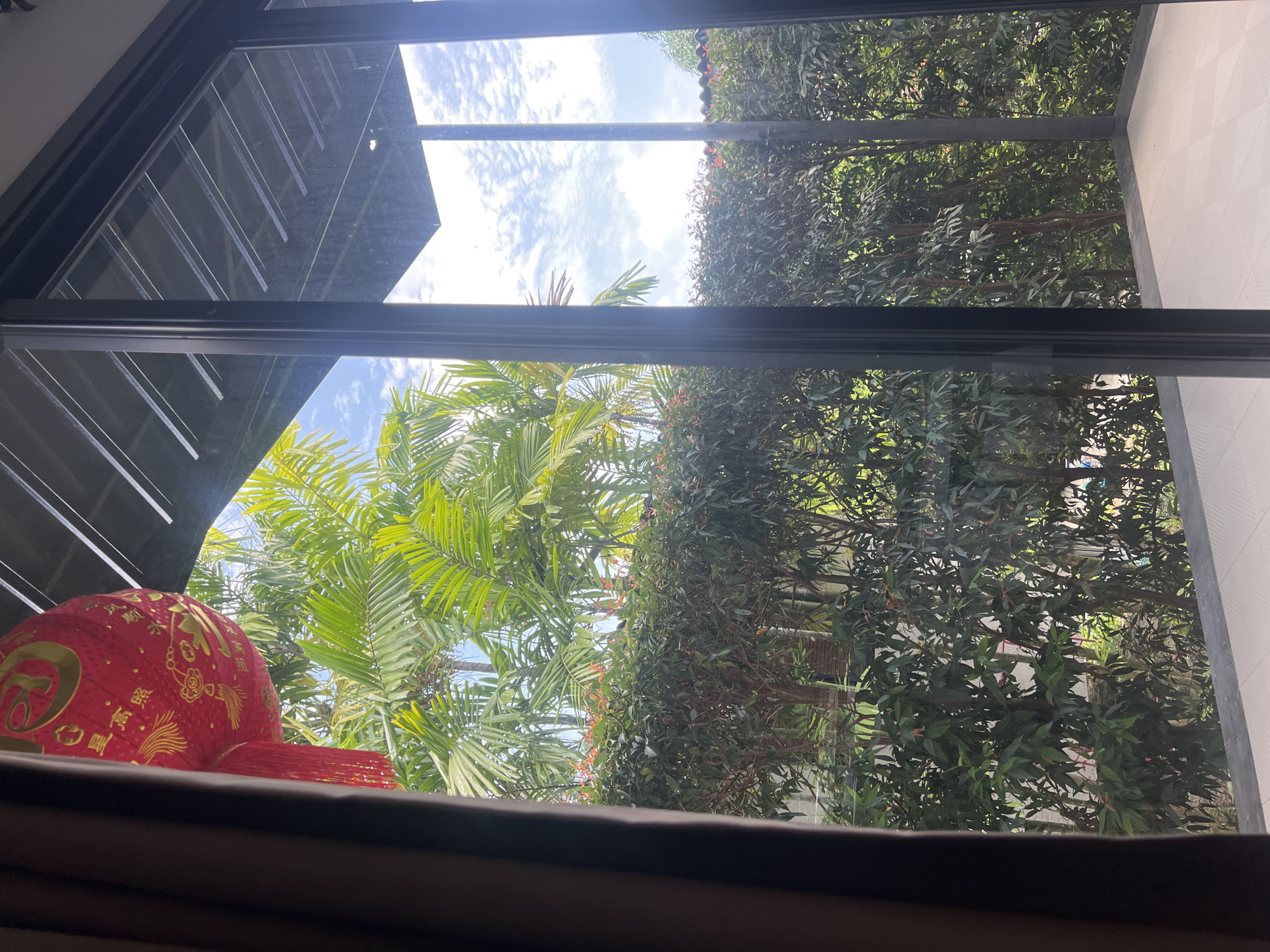 The image shows a view from inside a building, looking out through a window. Outside, there is lush green foliage, including palm trees and other trees with dense leaves. The sky is visible through the foliage, with white clouds scattered across a blue background. In the foreground, inside the building, there is a red Chinese lantern with gold writing and tassels. The window frame is black. The location is Unknown, Unknown.