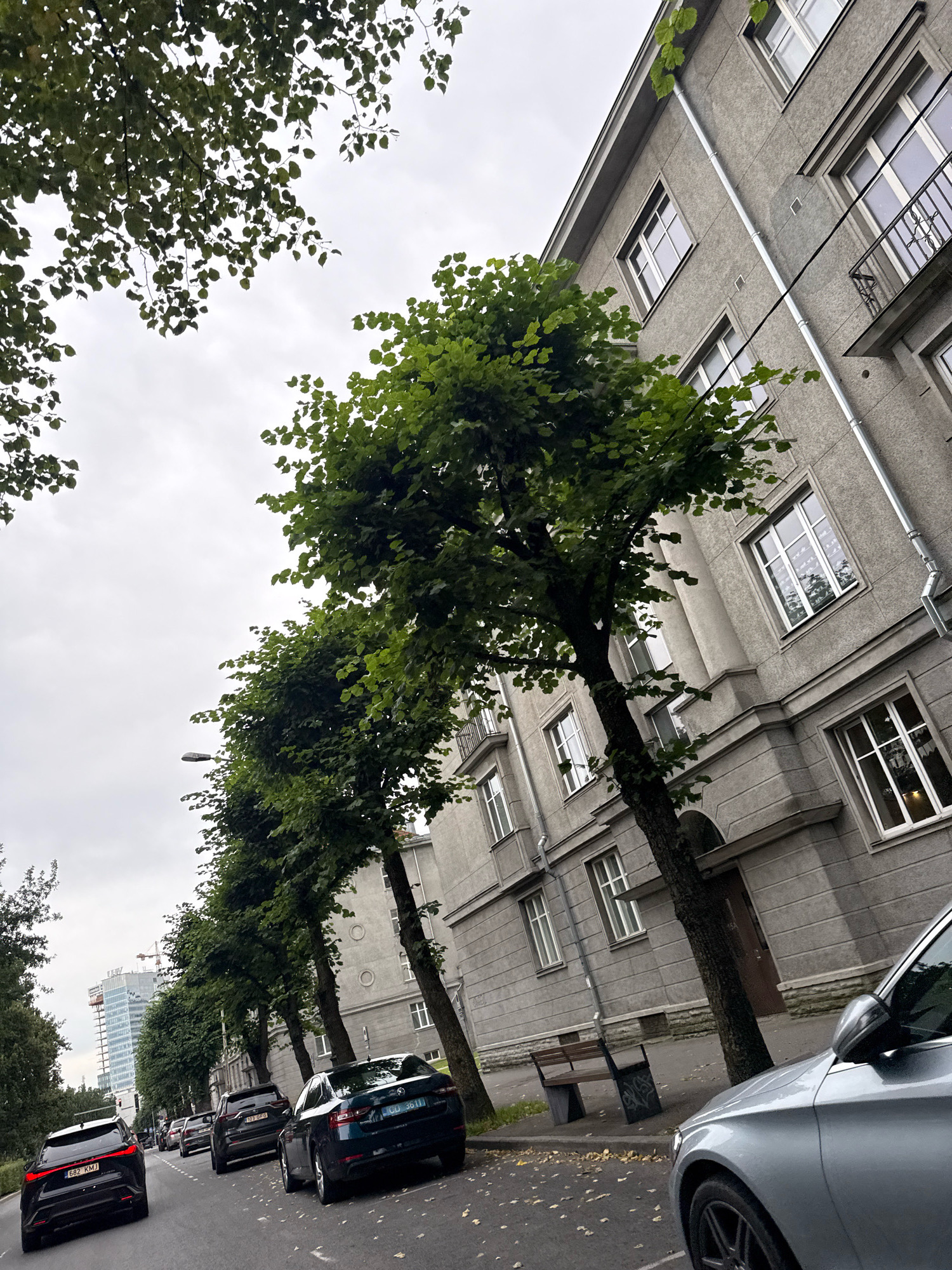 The image depicts a street scene in Tallinn, Estonia, characterized by a row of trees lining the left side of the road and a grey, multi-story building on the right. Several cars are parked along the street and moving in the same direction. The sky is overcast. The building features multiple windows and balconies. Fallen leaves are scattered on the pavement in front of the building. A street lamp is visible among the trees. In the background, a modern skyscraper with construction cranes is visible, suggesting urban development. The overall atmosphere is that of a typical European city street on a cloudy day.